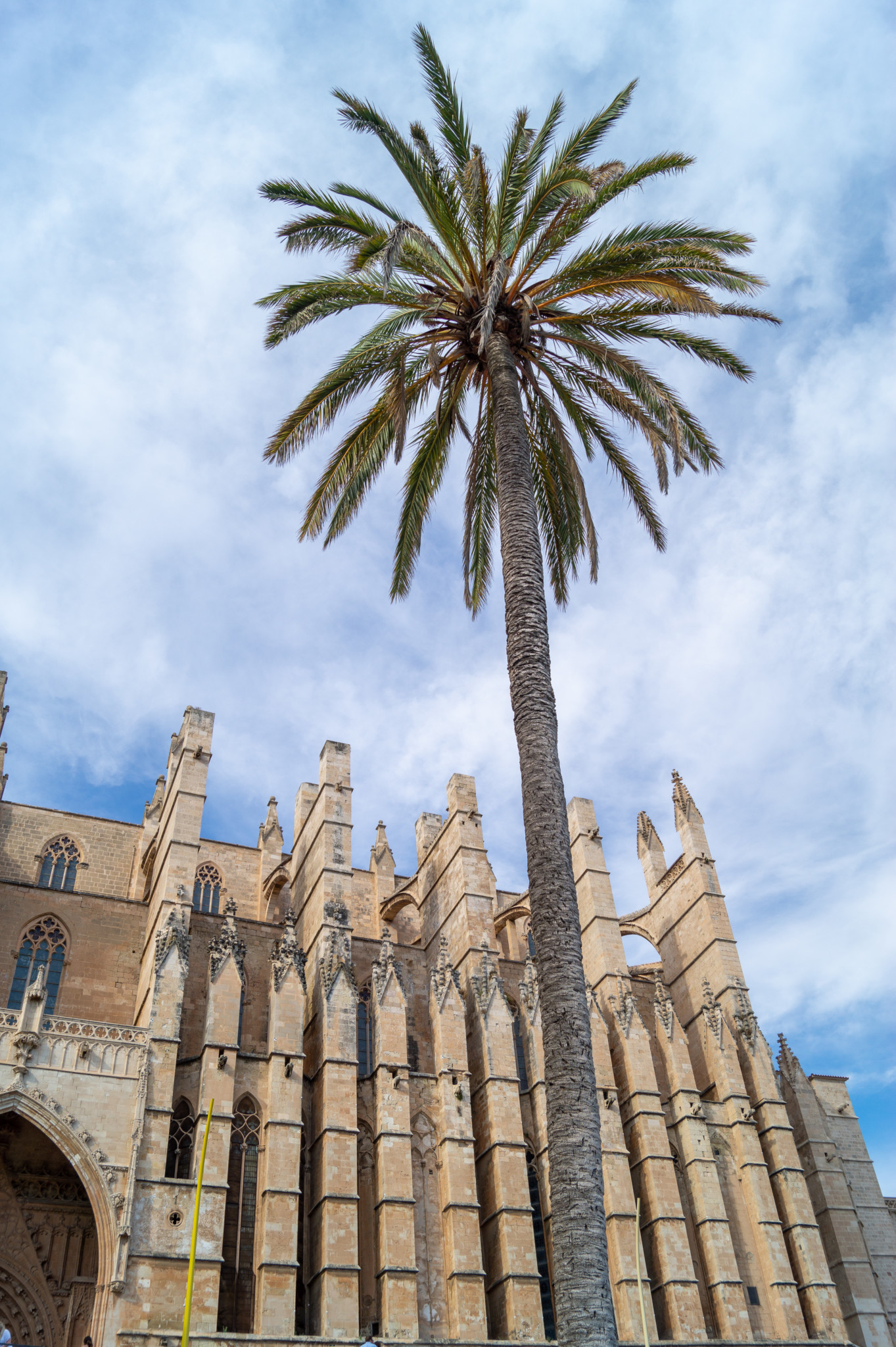 Die Kathedrale von Palma gehört zu den wichtigsten Sehenswürdigkeiten