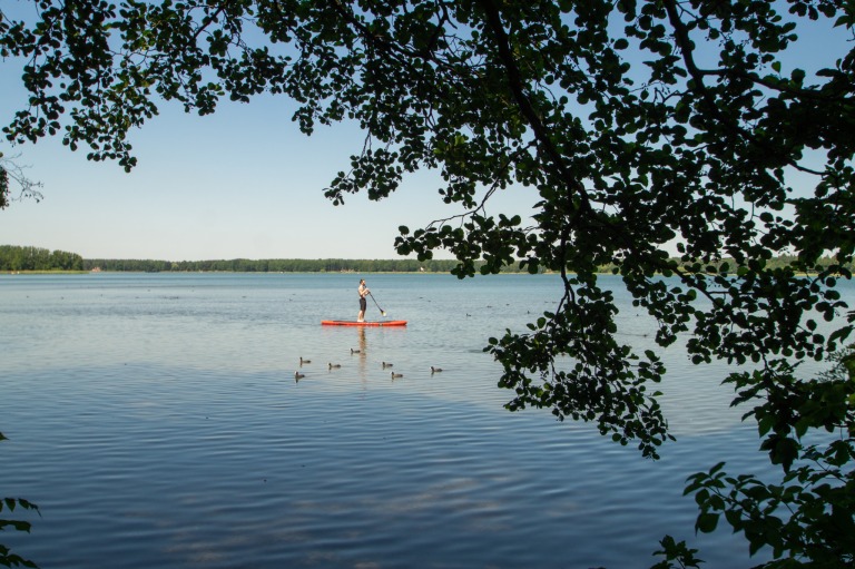 SUP am Wandlitzer See