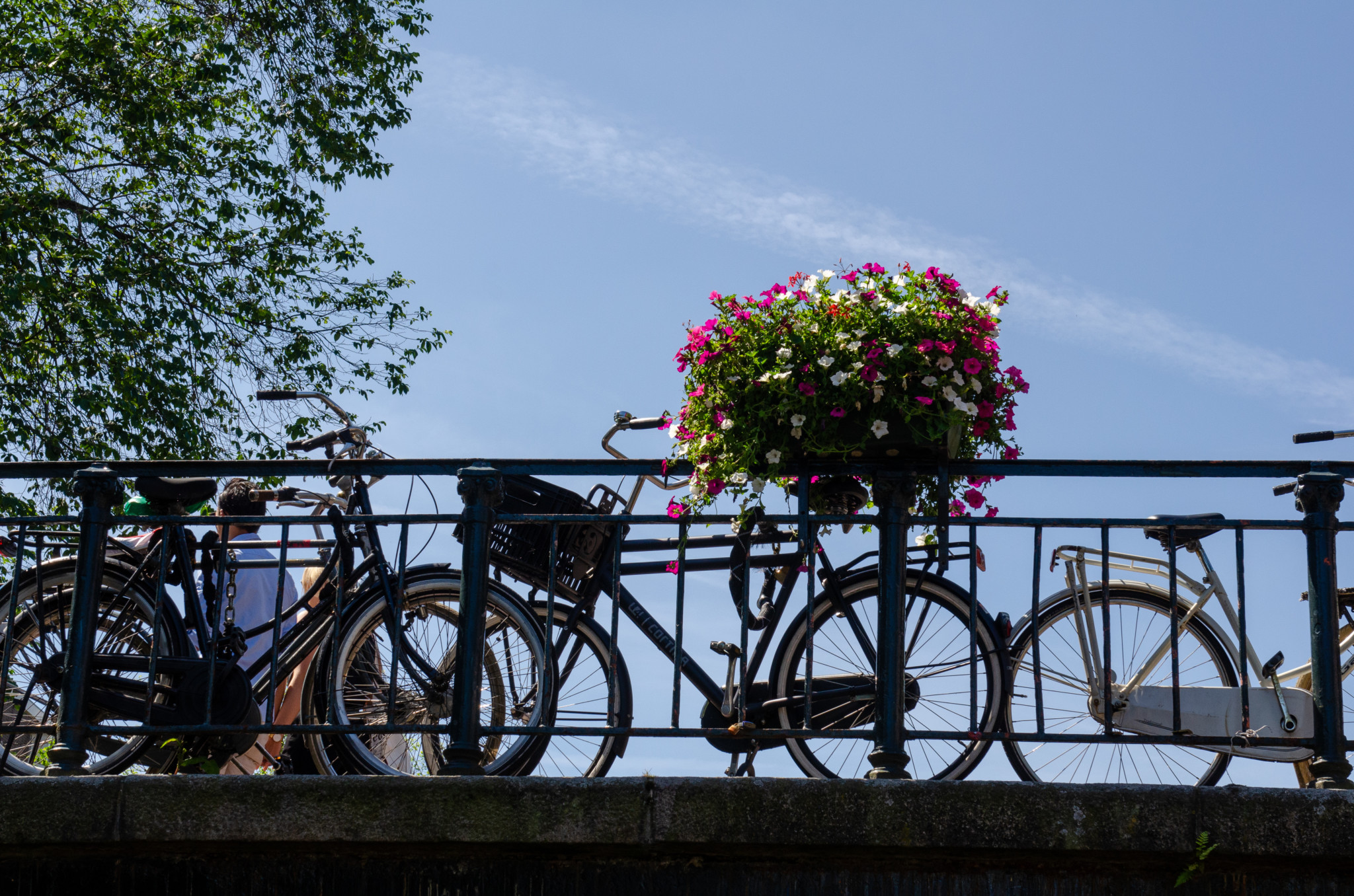 Mit dem Fahrrad durch Amsterdam