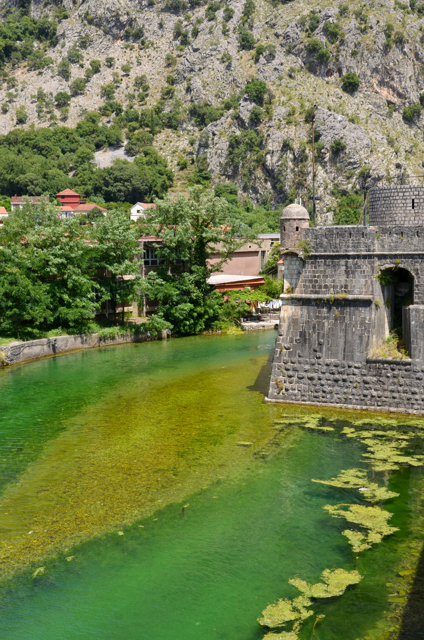 Die Stadtmauer von Kotor in Montenegro mit Graben