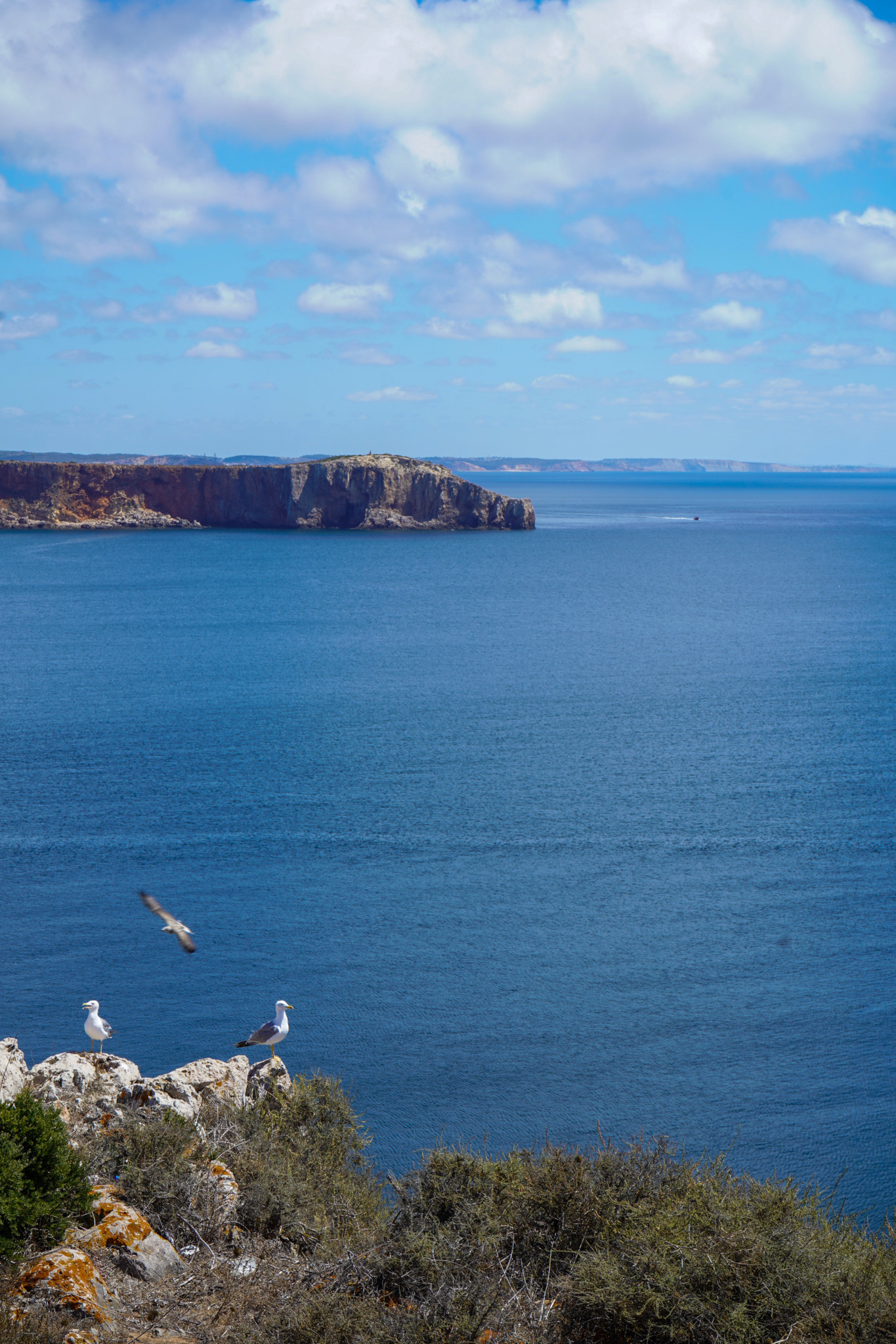 Ausblick Cabo de Sao Vicente Algarve