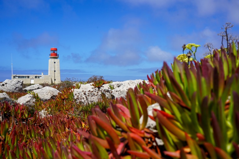 Fortaleza do Sagres