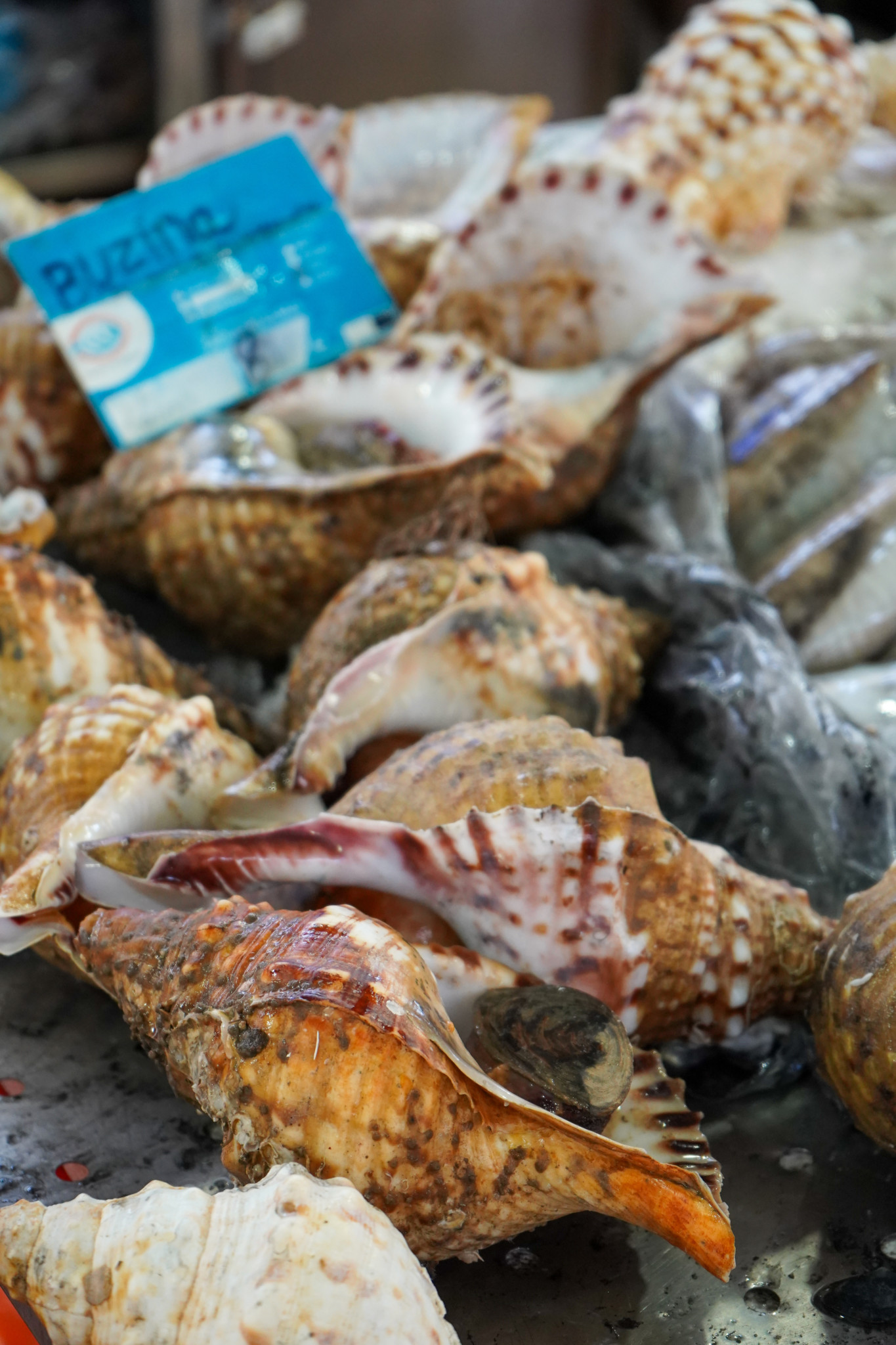 Frischer Fisch auf dem Markt von Loule