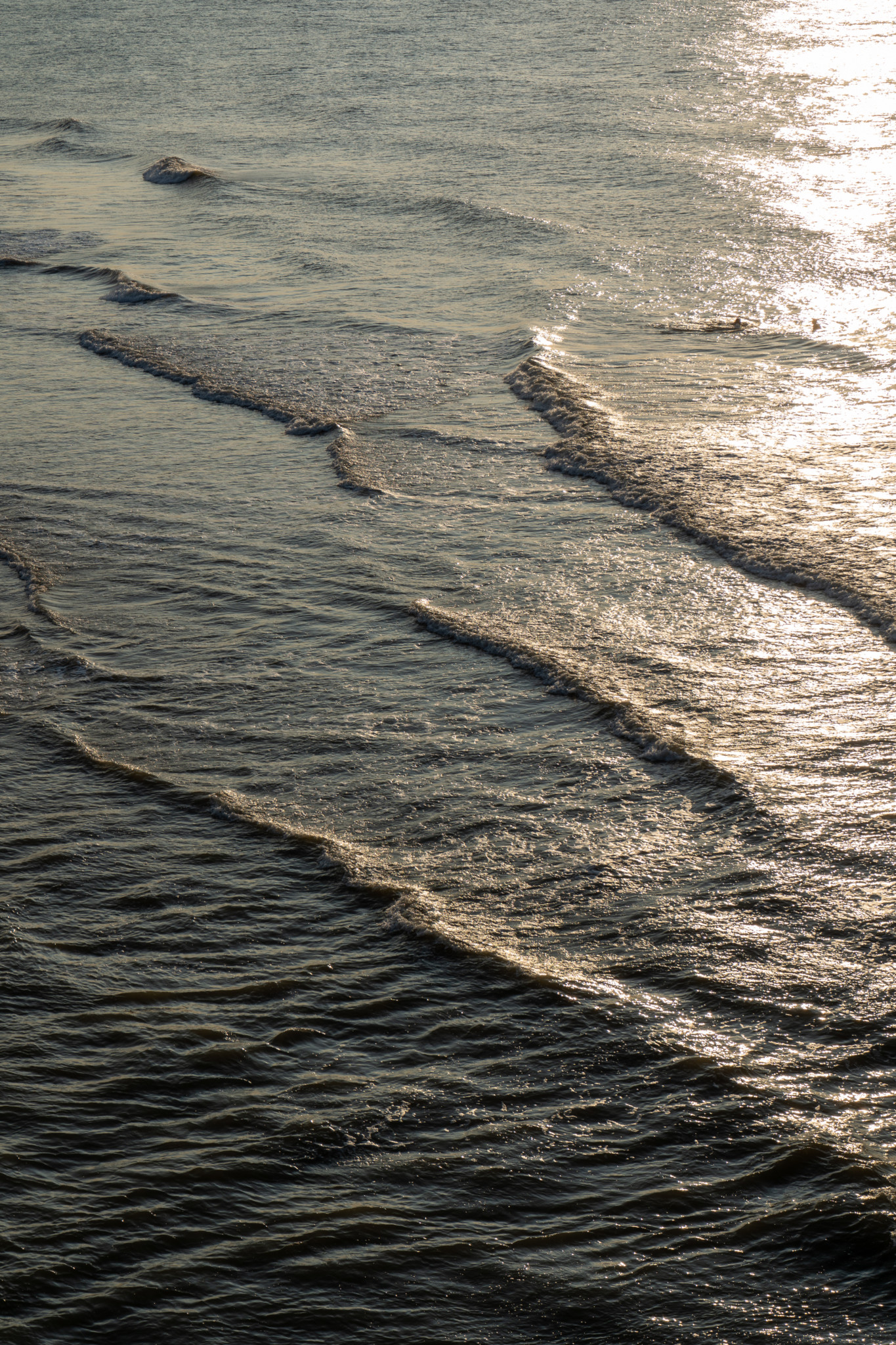 Surfen in Scheveningen