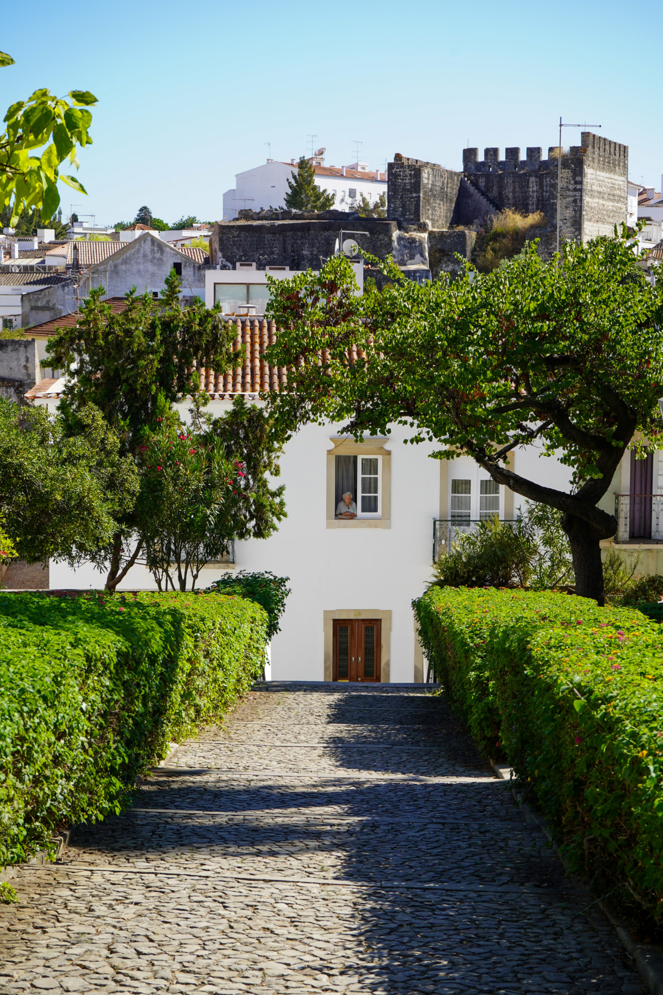 Garten in Tavira