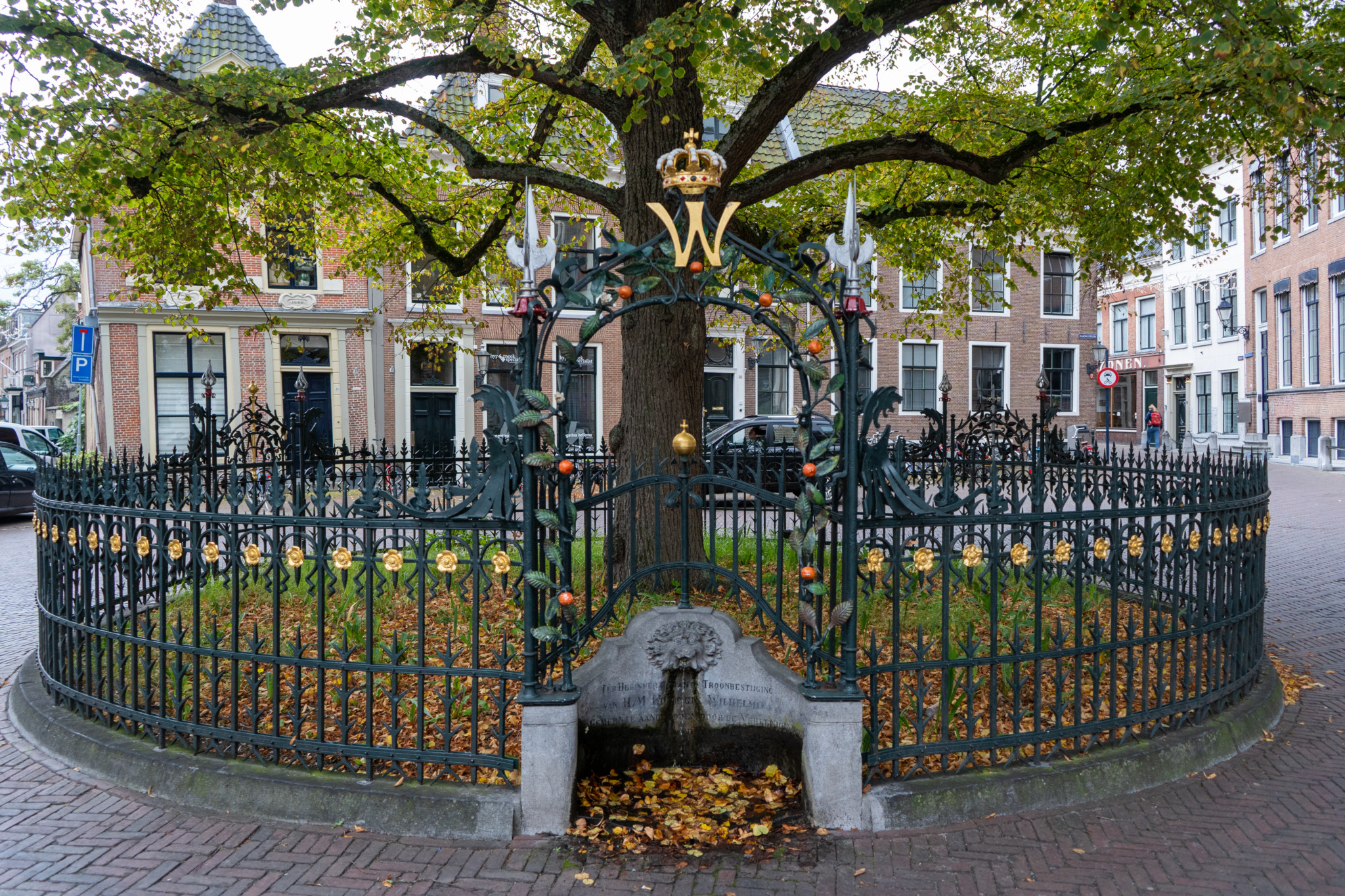 Oranjelinde im Innenhof vom Stadhuis Leeuwarden