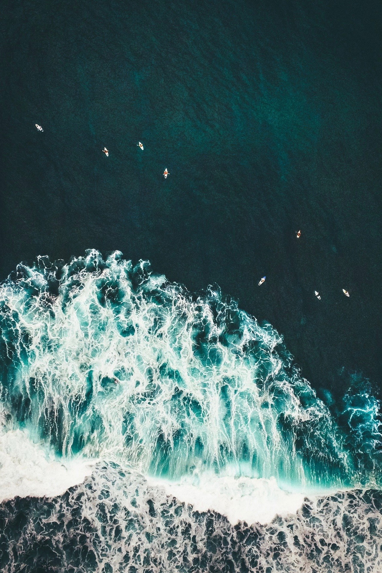 Surfer von oben