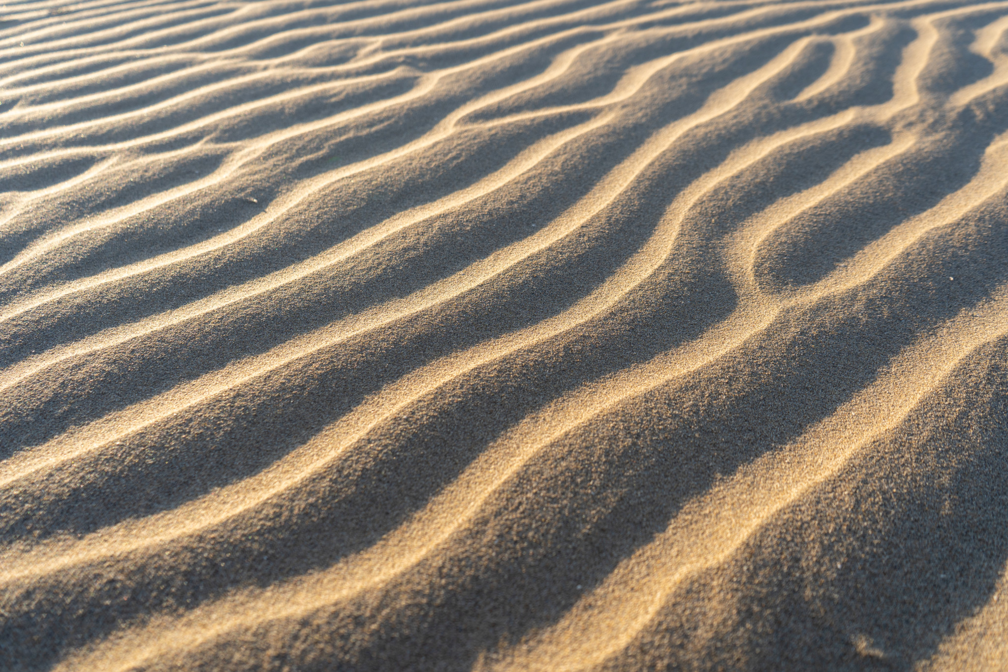 Muster im Sand der Wüste Varzaneh