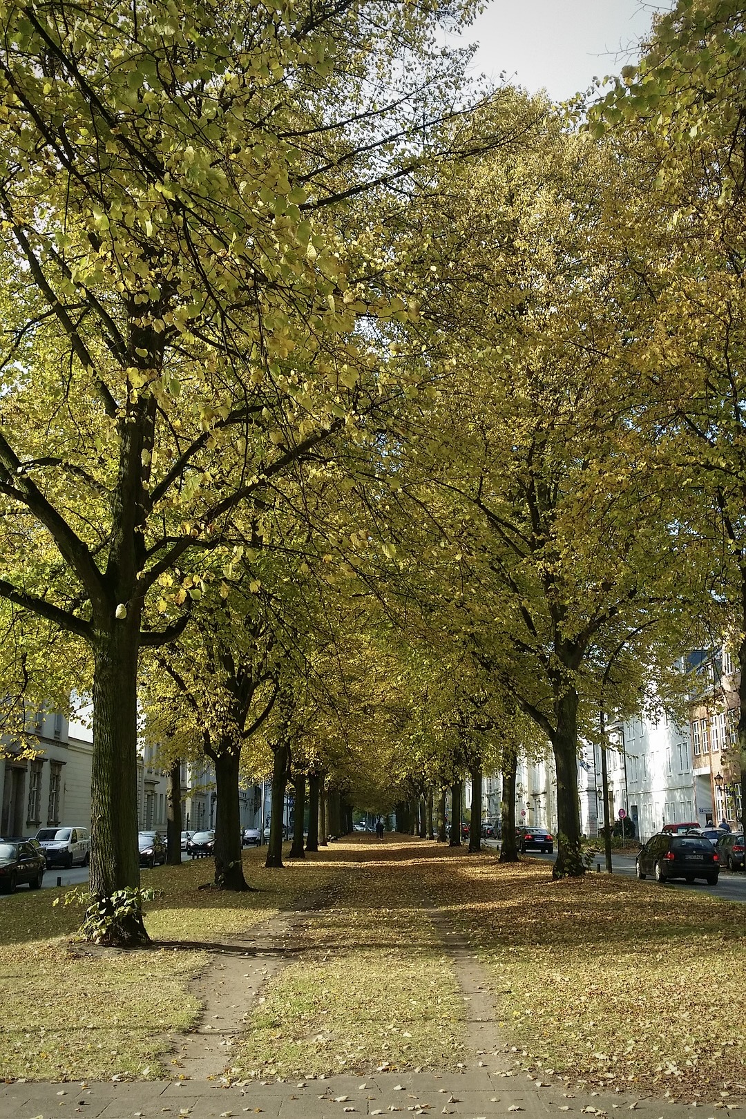 Viele schöne Parks gehören zu den Hamburg Geheimtipps
