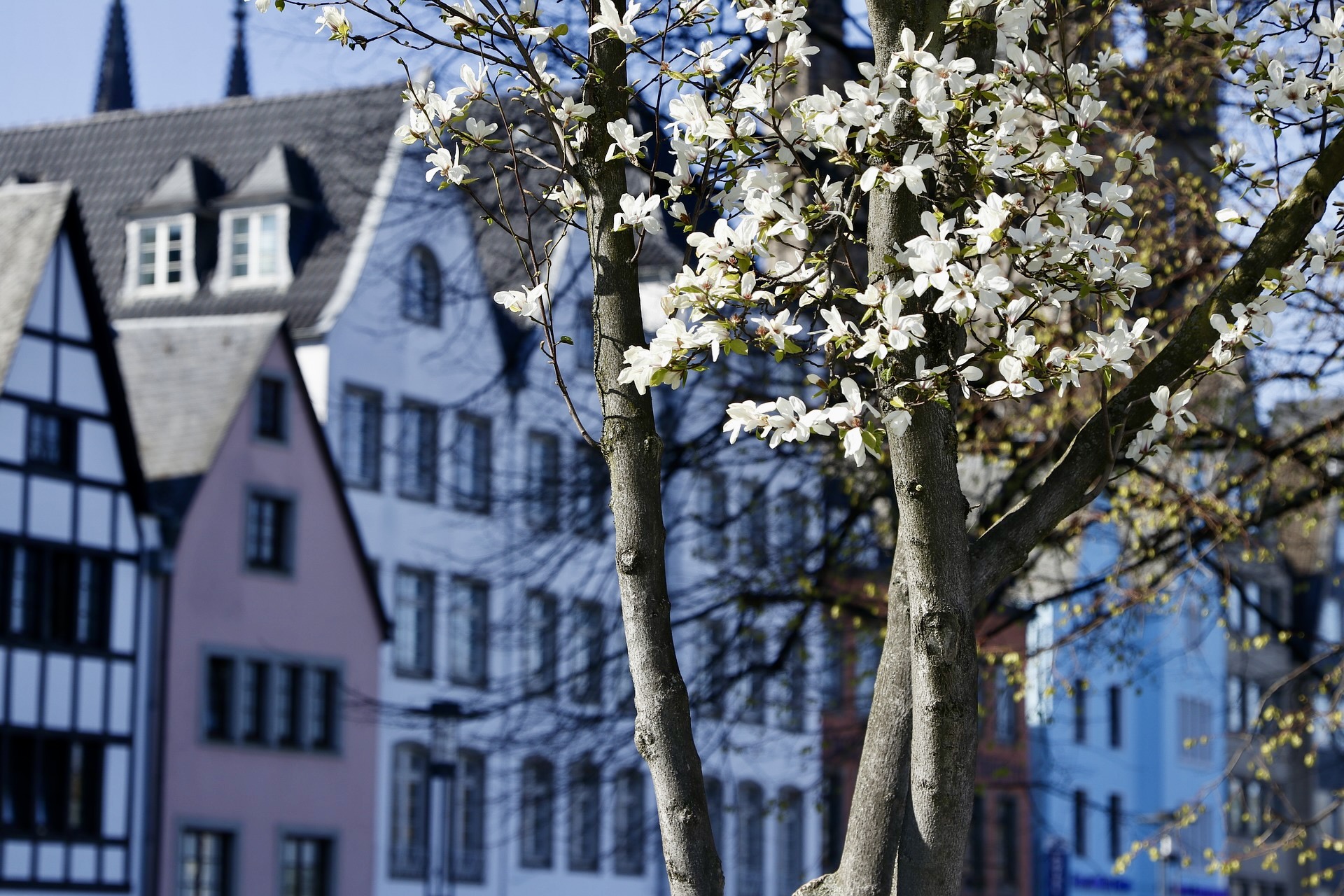 Altstadt von Köln