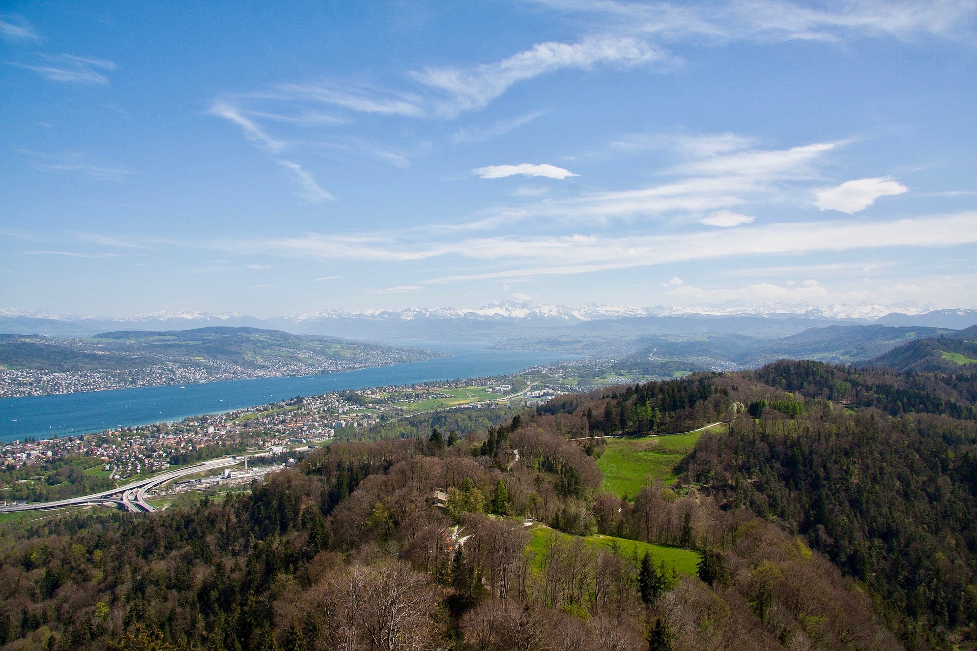 Ausblick vom Uetliberg