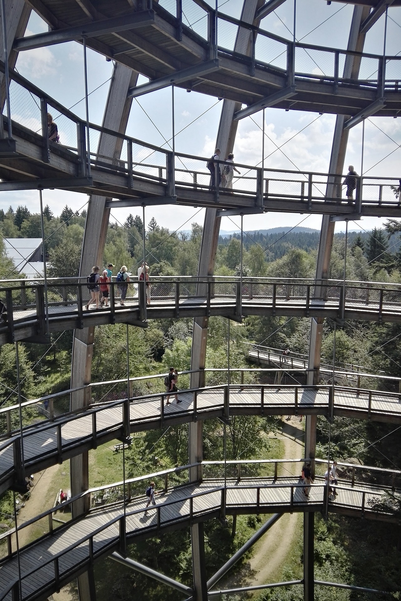 Der Waldwipfelpfad im Bayerischen Wald ist ein toller Ausflug