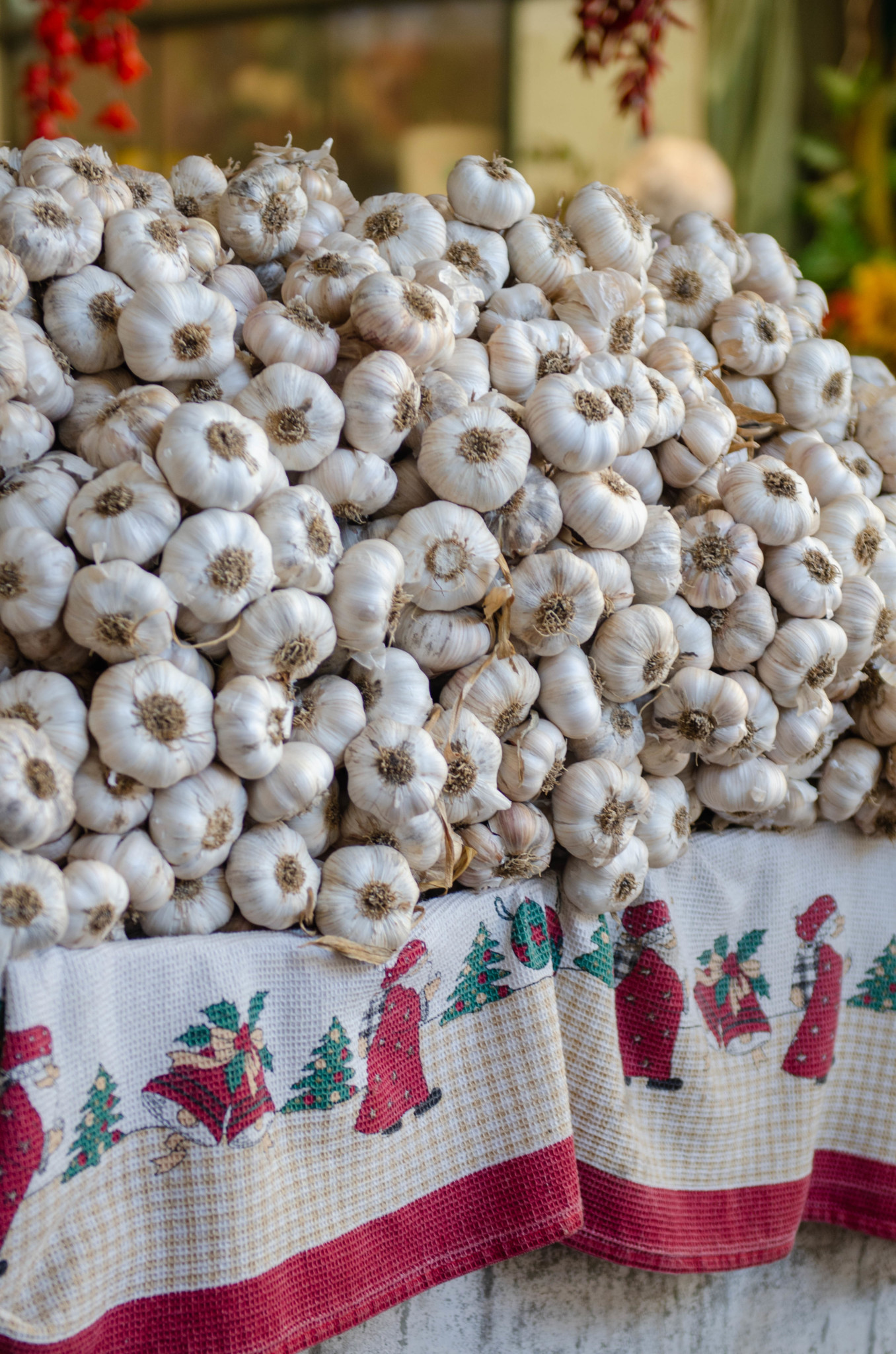 Knoblauch auf dem Mercado do Bolhao