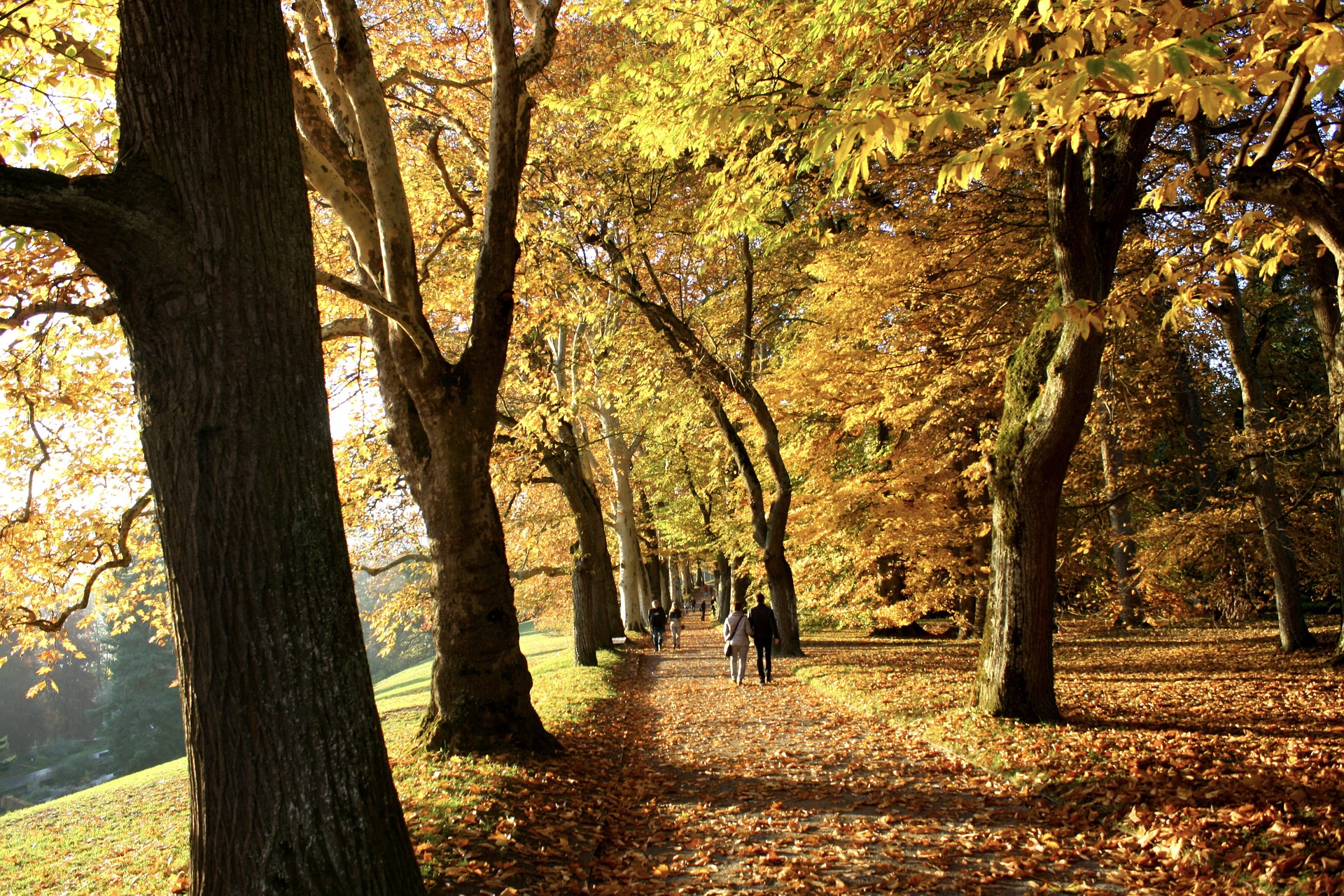 Ausflugsziele in der Natur gibt es in Baden-Württemberg viele