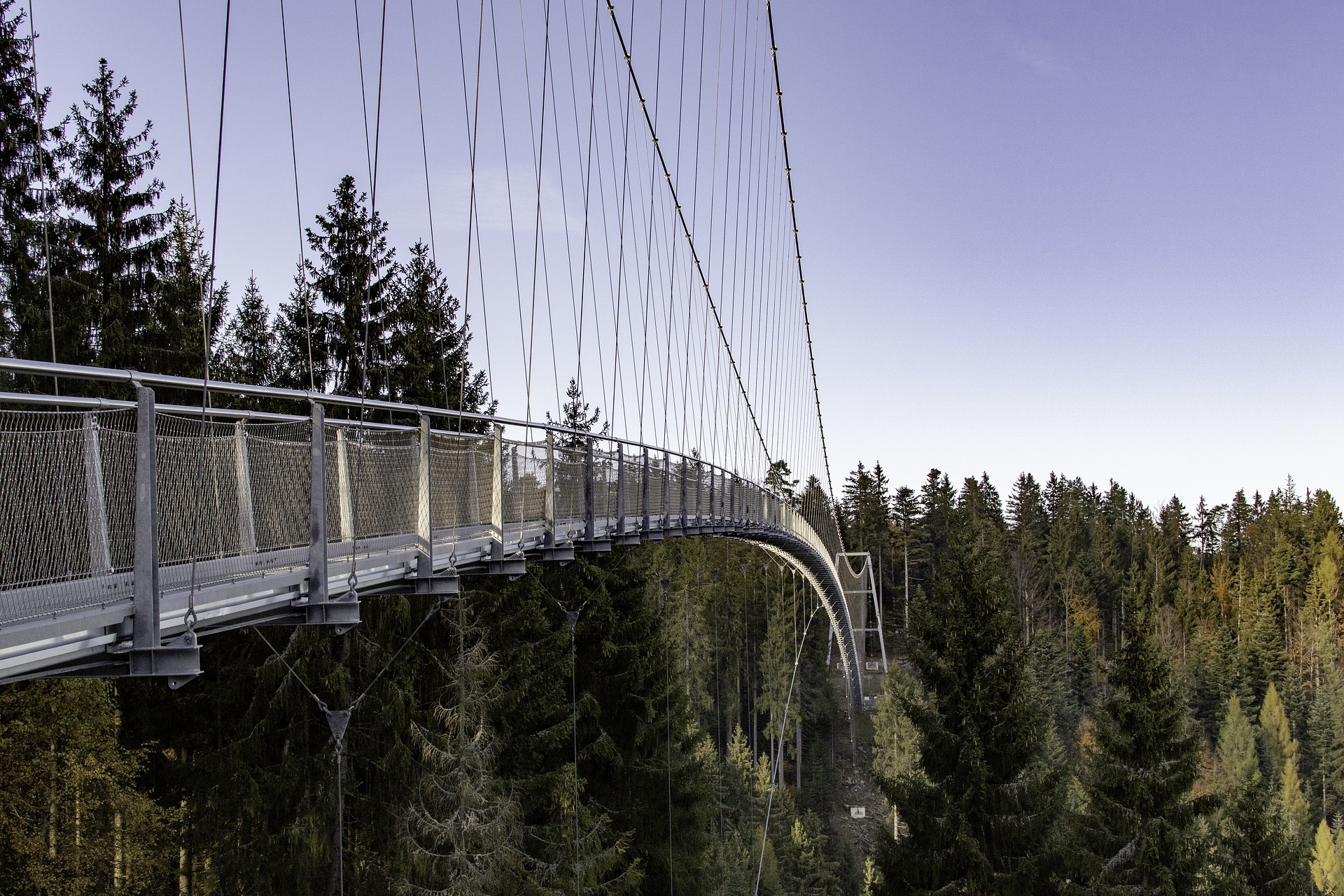 Eine Hängebrücke im Schwarzwald, einem beliebten Ausflugsziel in Baden-Württemberg