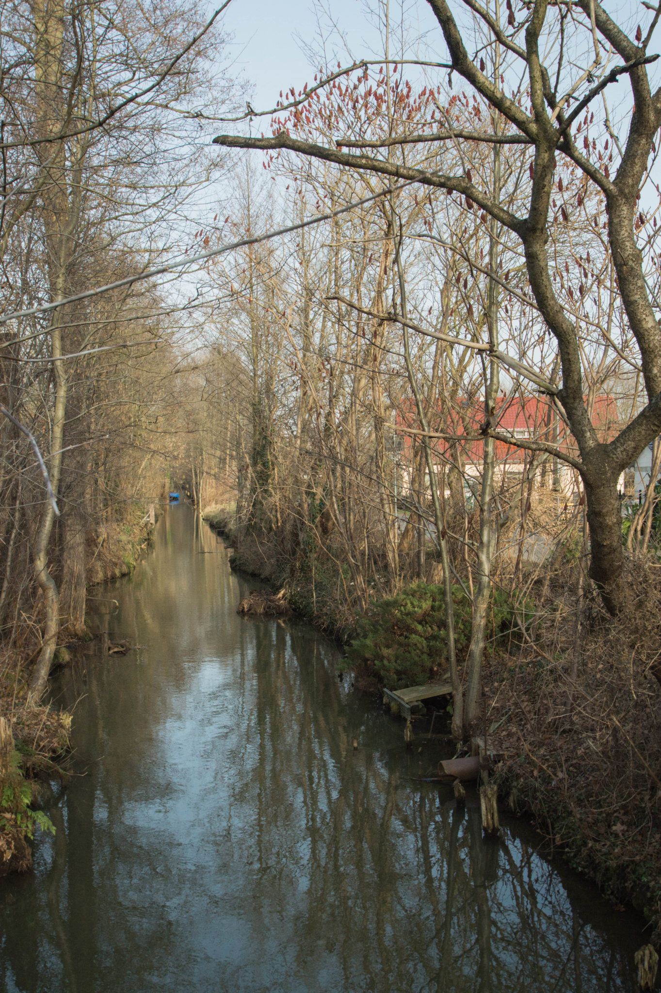 Typische Landschaft im Spreewald