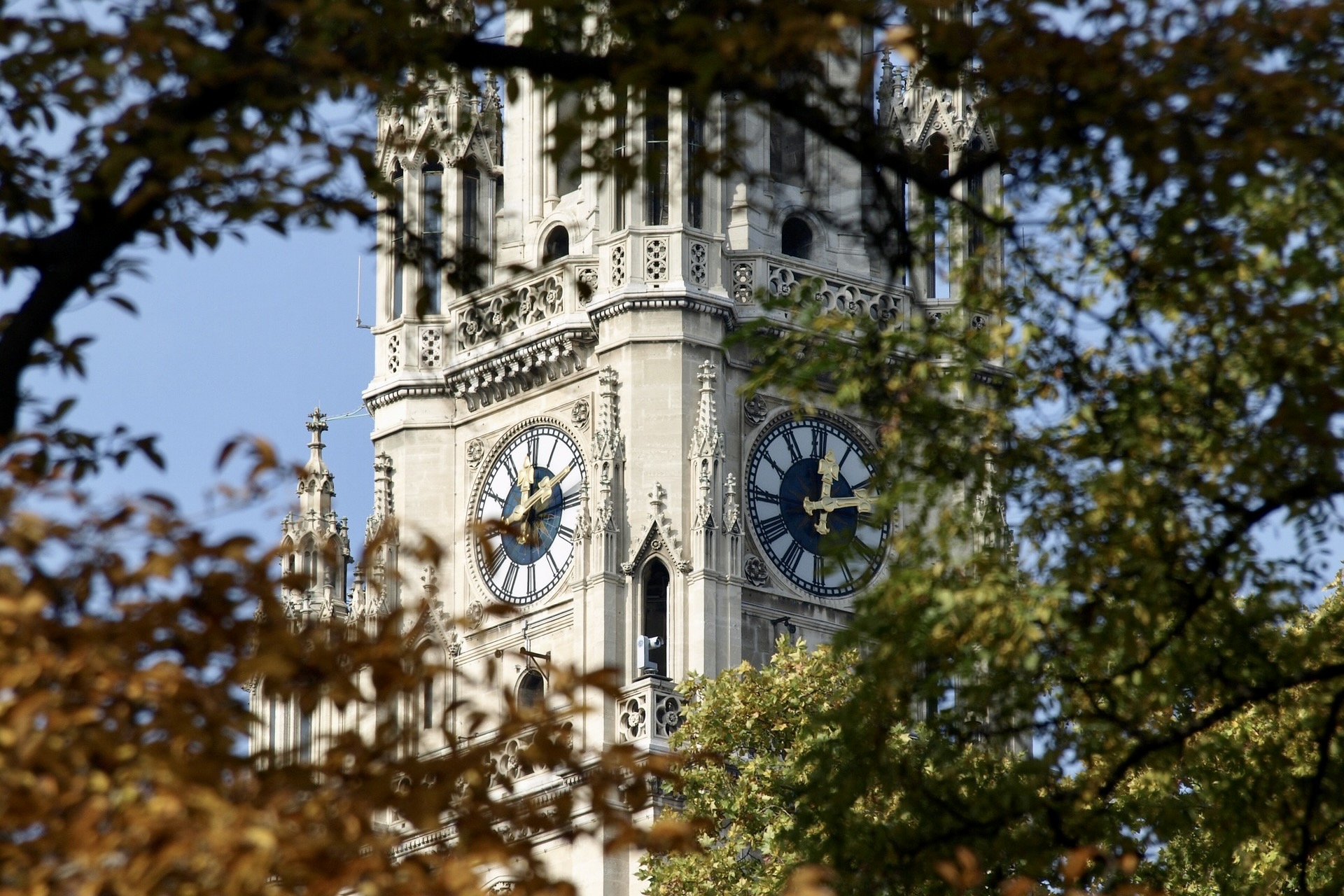 Das Wiener Rathaus am Ring hat einen ganz besonderen Charme