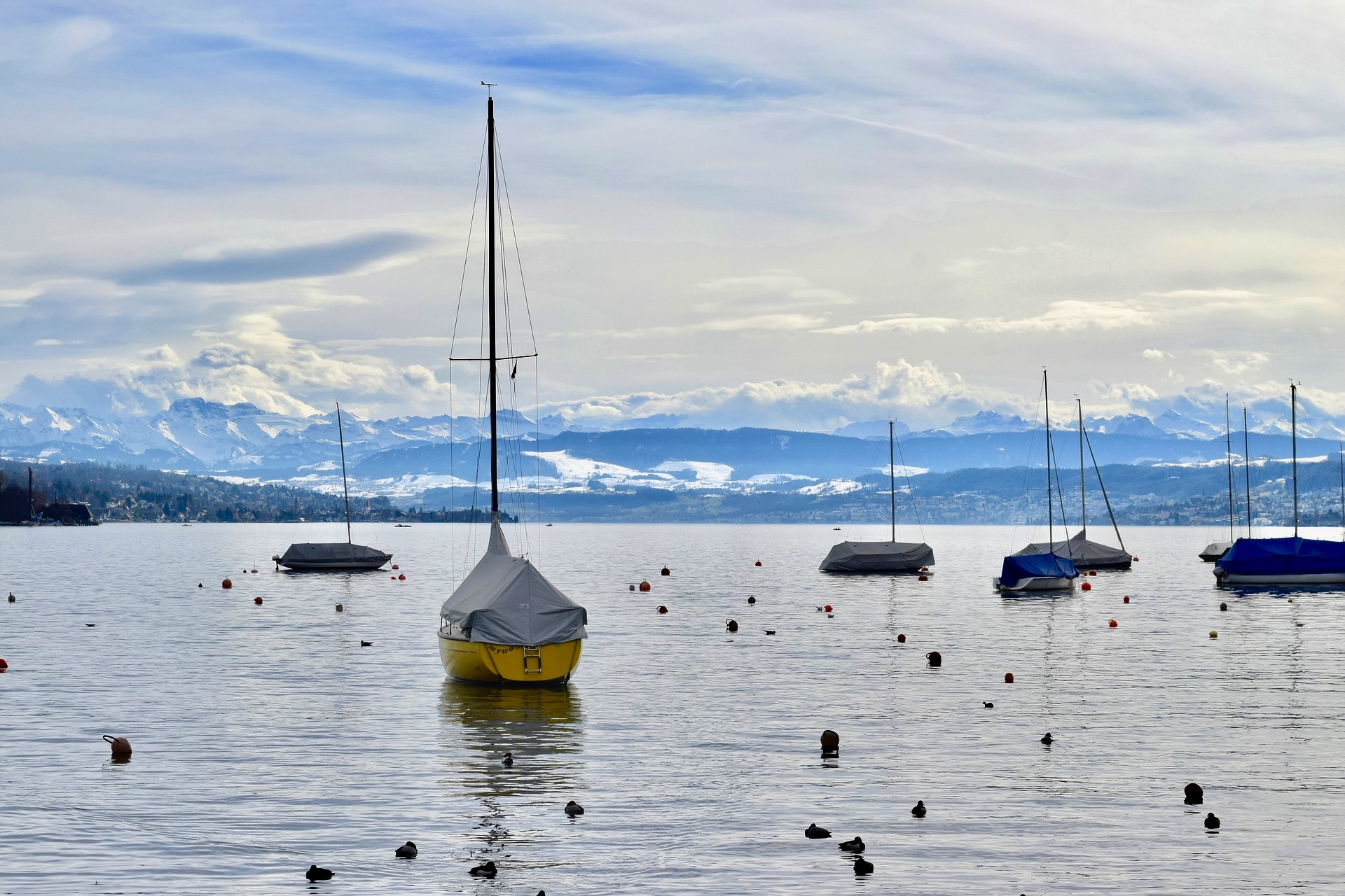 Zürichsee im kalten Februar