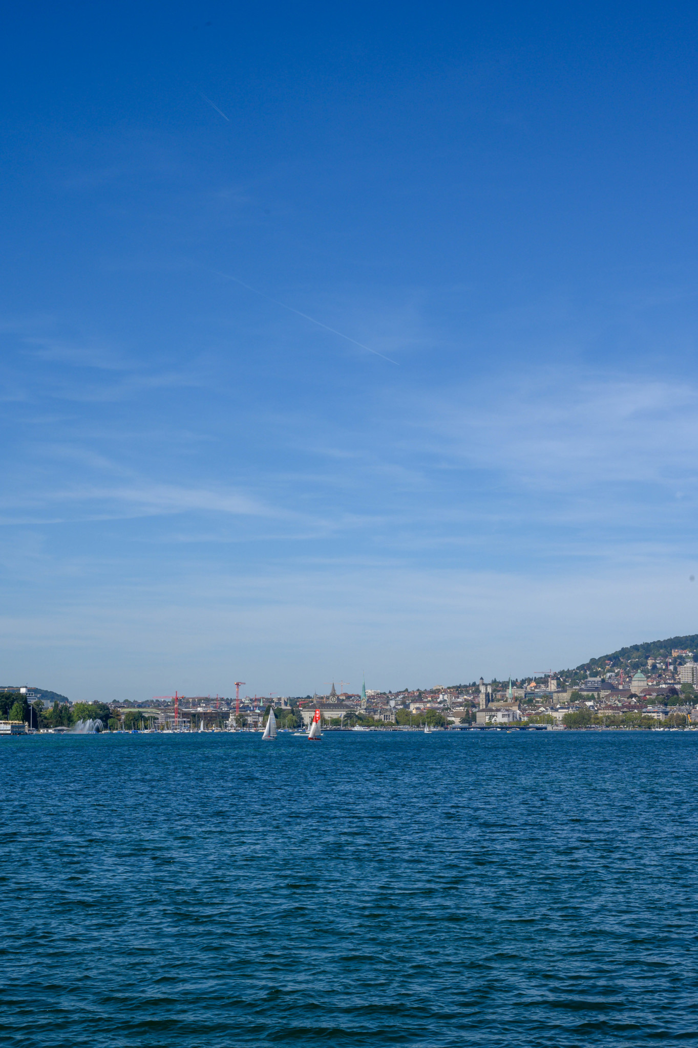 Blick auf den Zürichsee