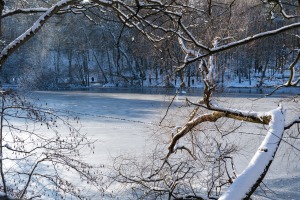 Die Krumme Lanke ist perfekt für Berlin im Winter