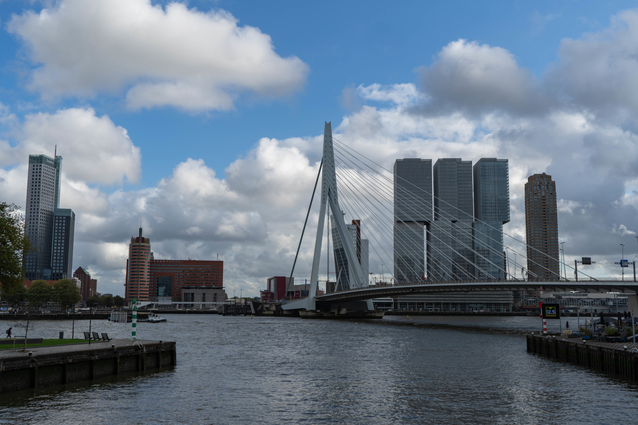 Rotterdam Sehenswürdigkeiten: Erasmusbrücke