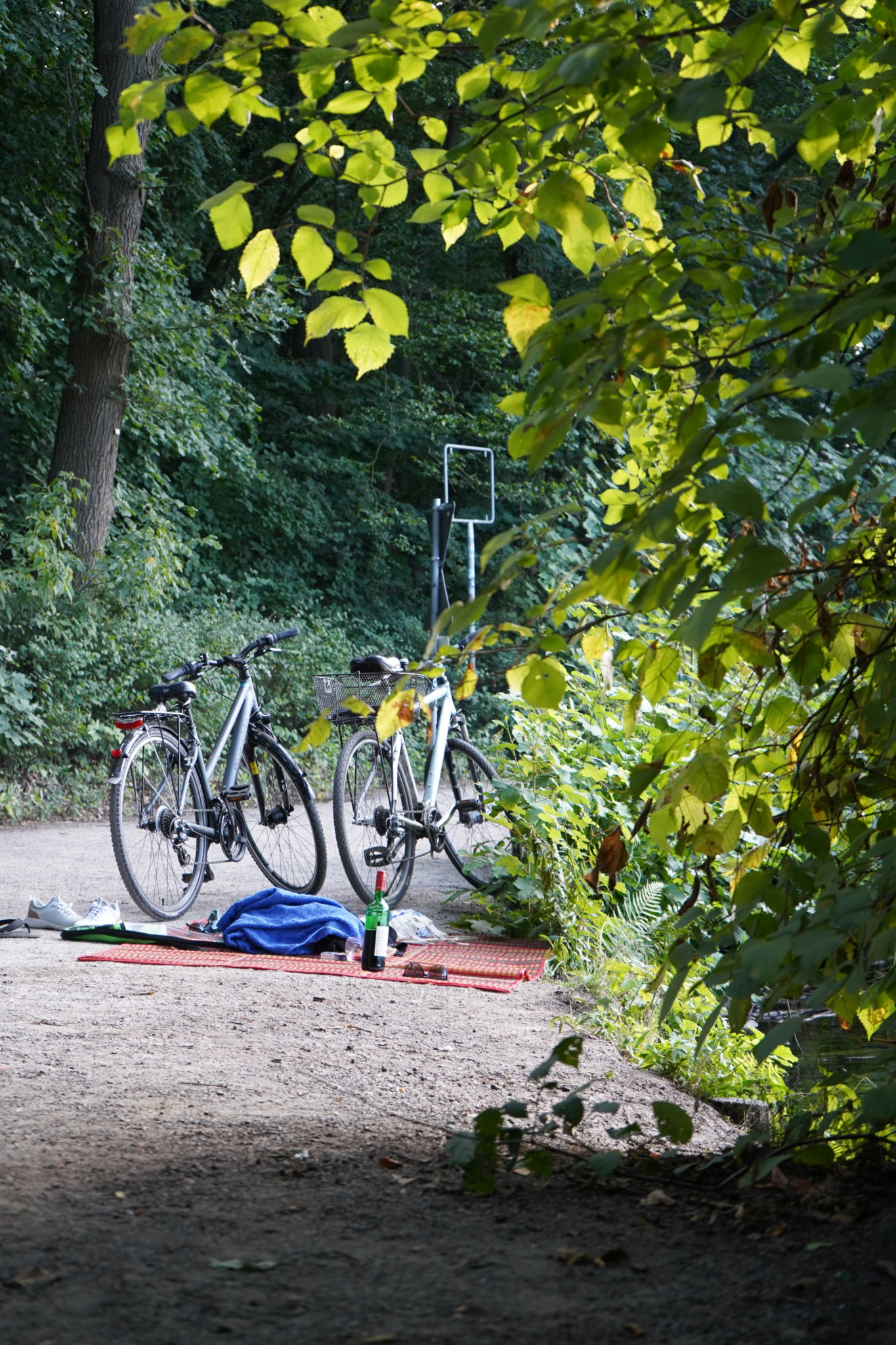 Schlachtensee in Berlin