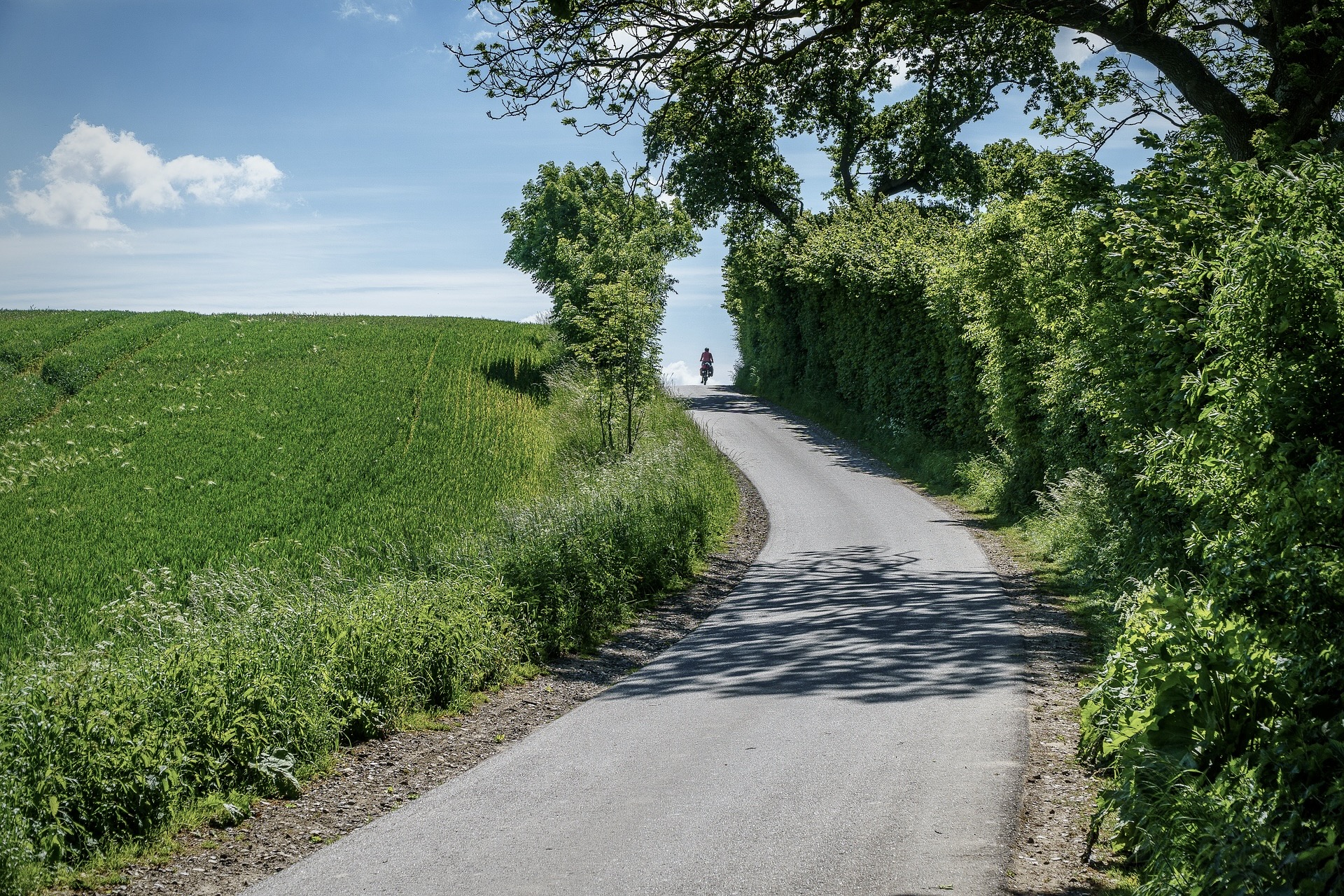 Eine Radtour von Hamburg in die Holsteinische Schweiz ist ein beliebter Tagesausflug