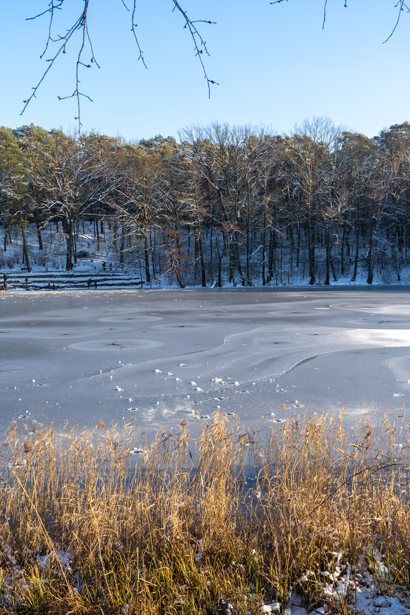 Gefrorene Krumme Lanke