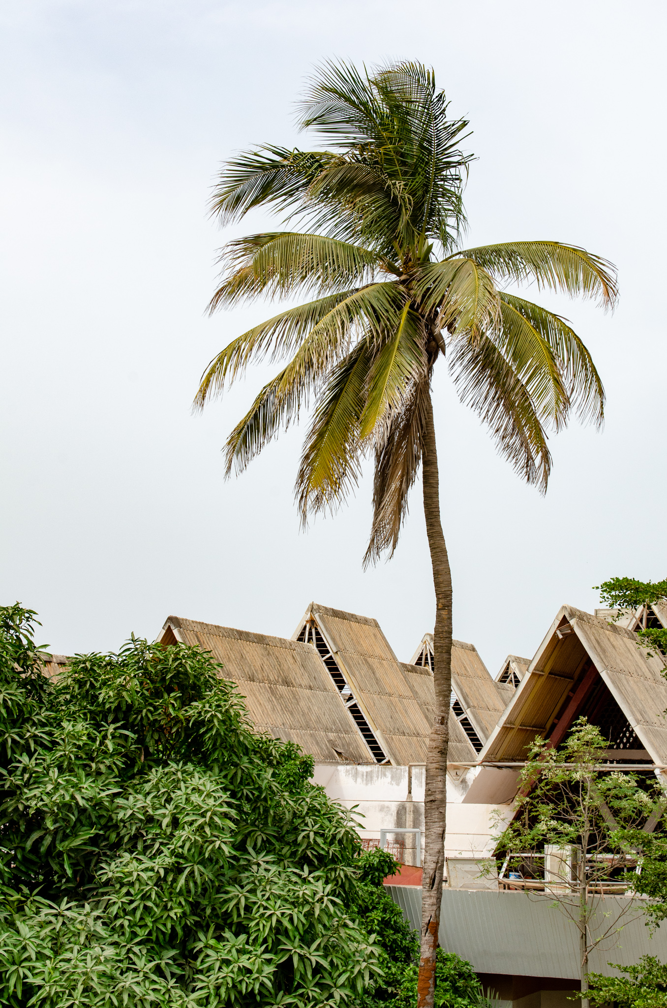 Dakar Fair Ground