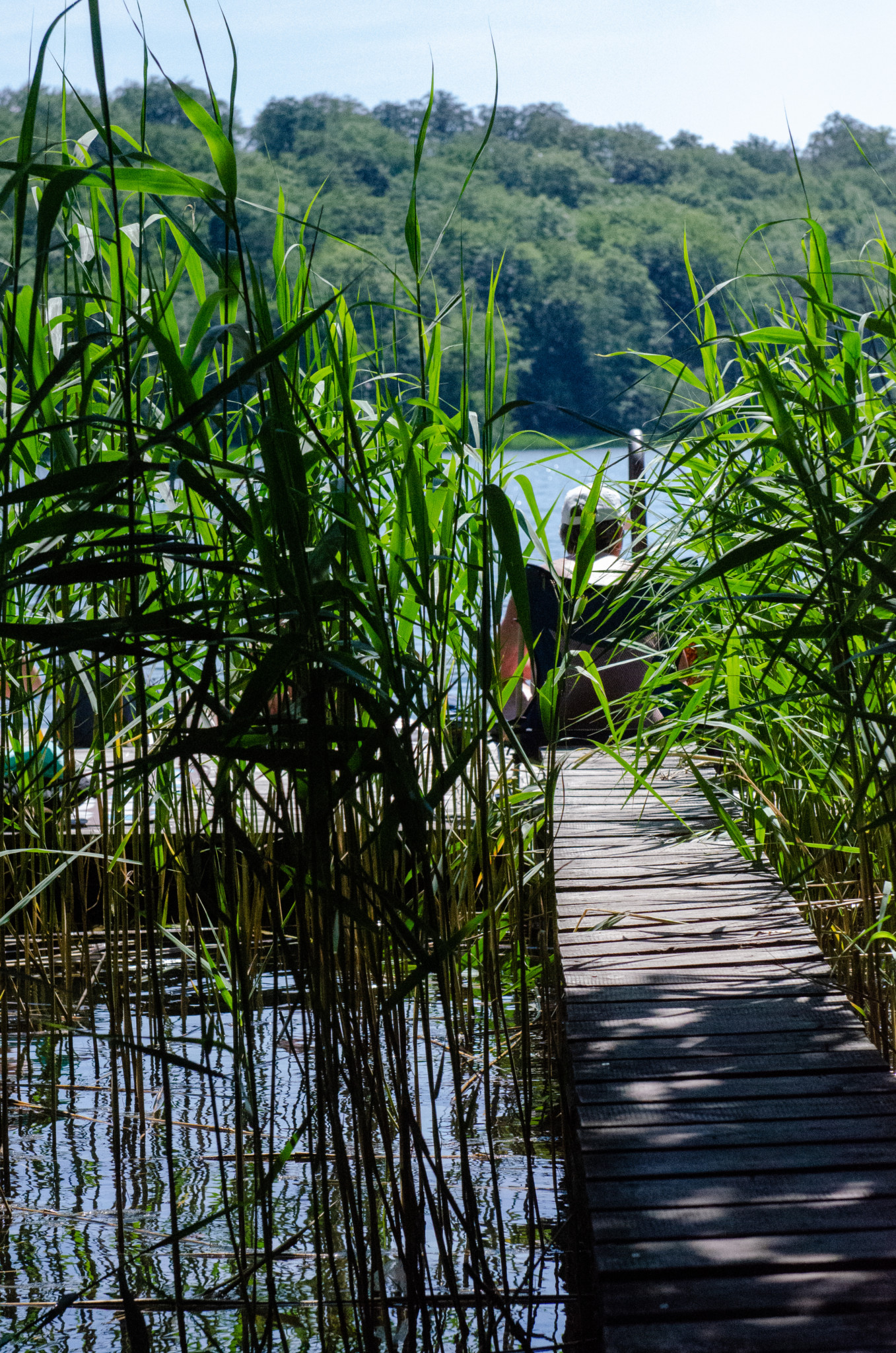 Für uns gehört der Liepnitzsee zu den schönsten Seen in Deutschland