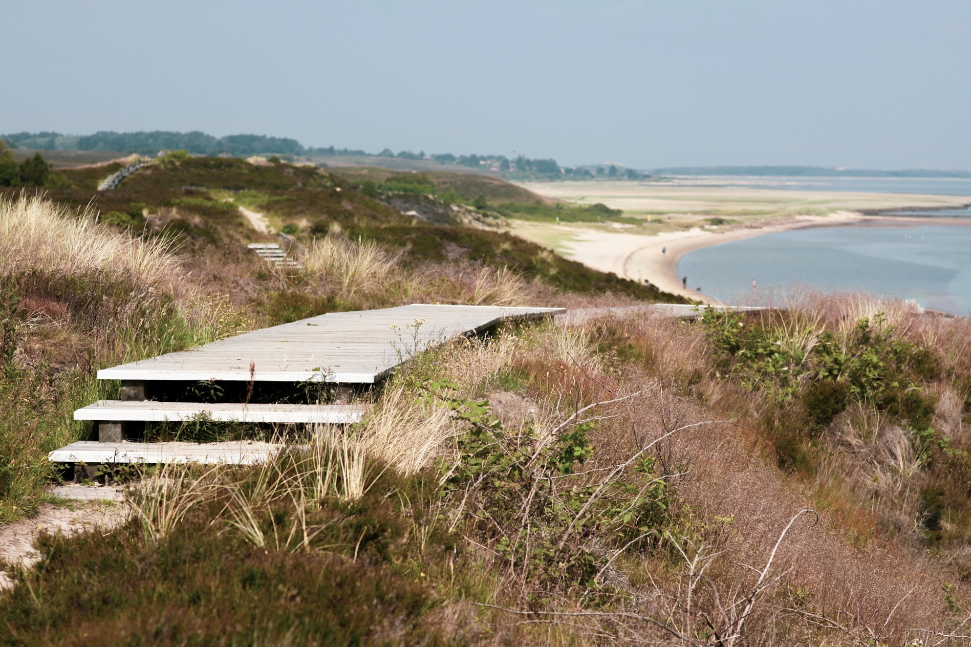 Die Badruper Heide auf Sylt