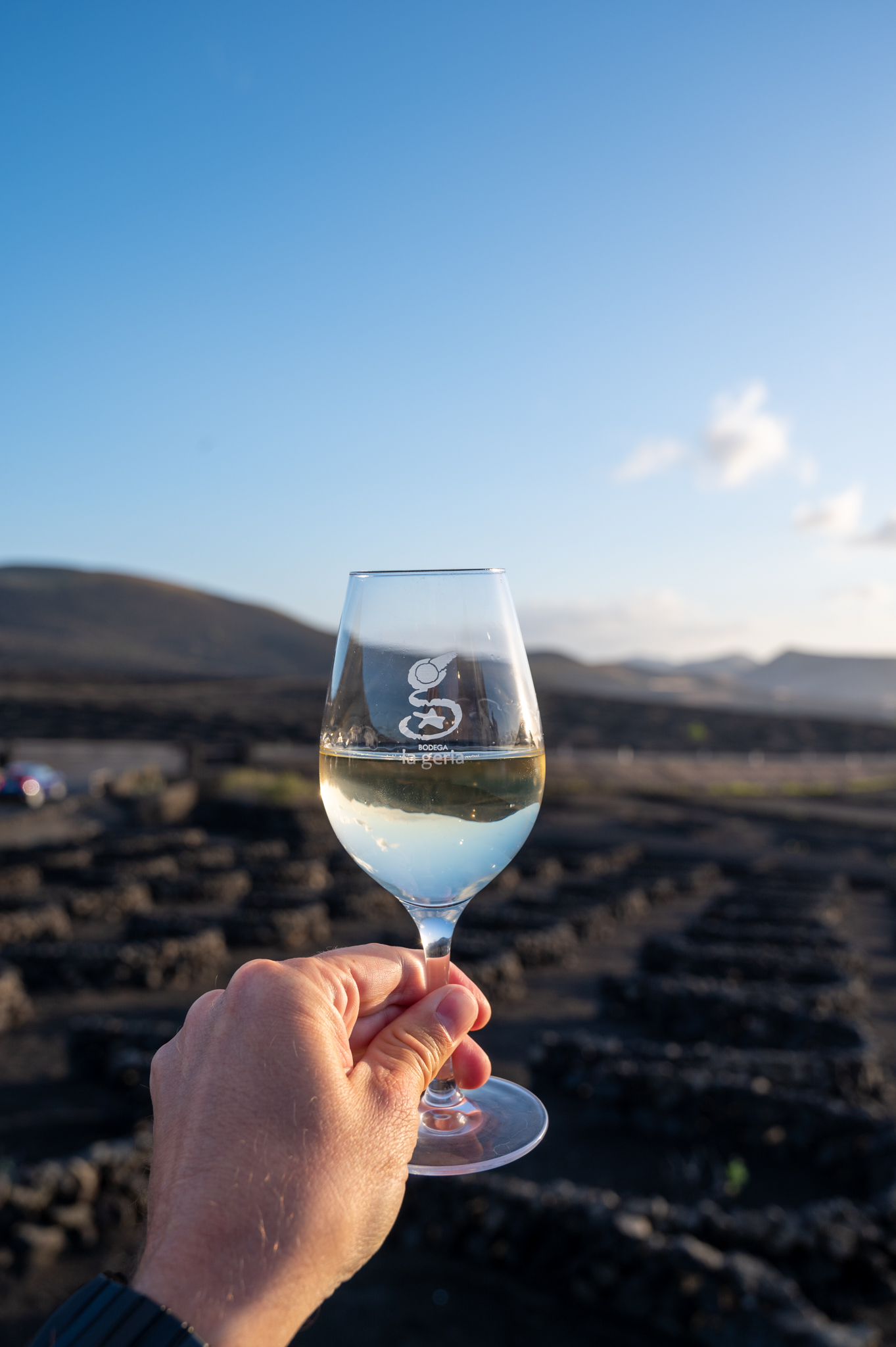El Grifo Wein auf Lanzarote