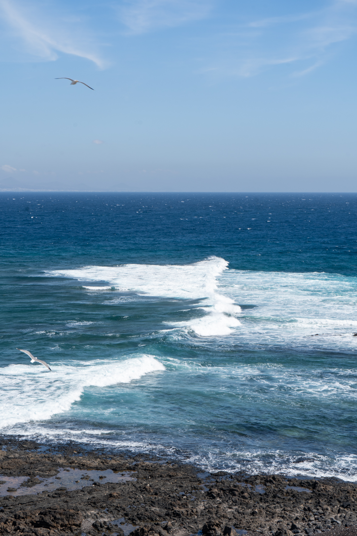 Ausblick aufs Meer auf Lobos