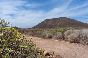 Weg zum Montaña Caldera