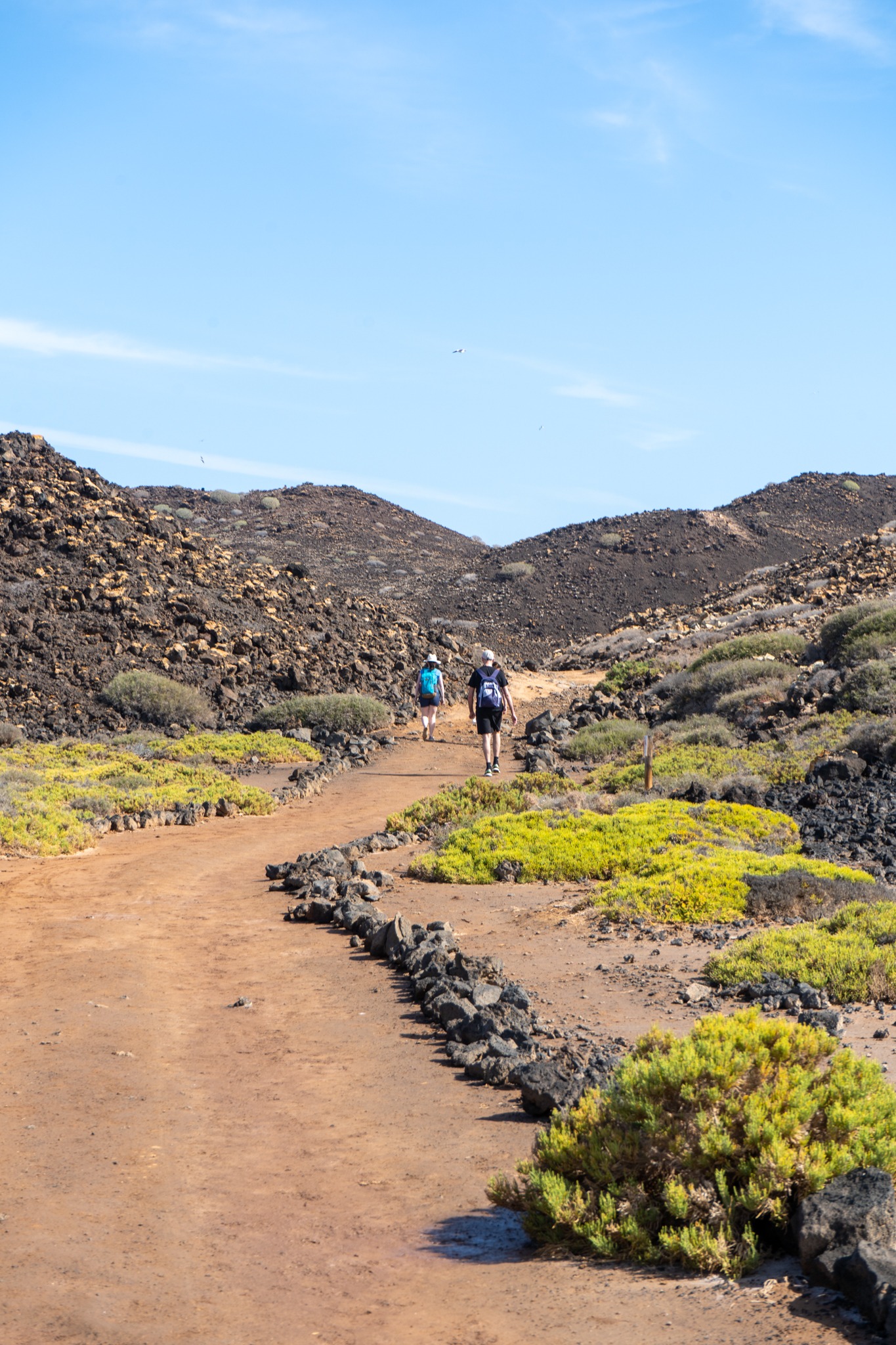 Wandern auf Lobos