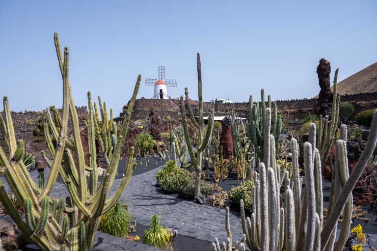 Jardin de Cactus auf Lanzarote