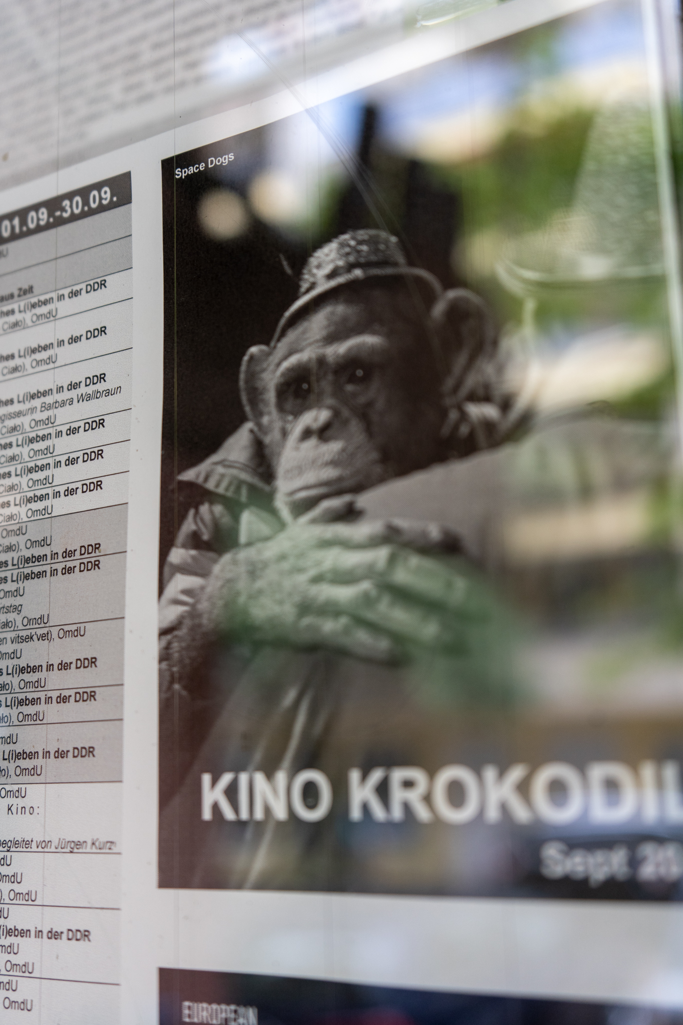 Prenzlauer Berg Tipps: Kino Krokodil