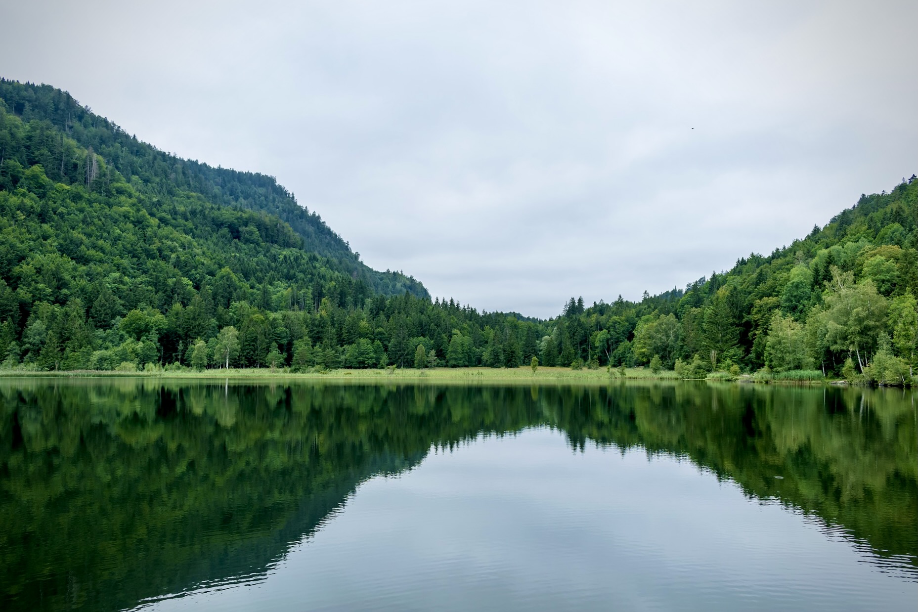 Der Schwansee ist ein beliebter See in Bayern als Ausflugsziel