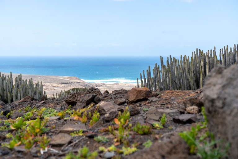 Was sind die schönsten Fuerteventura Strände?