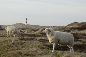 Sylt Sehenswürdigkeiten