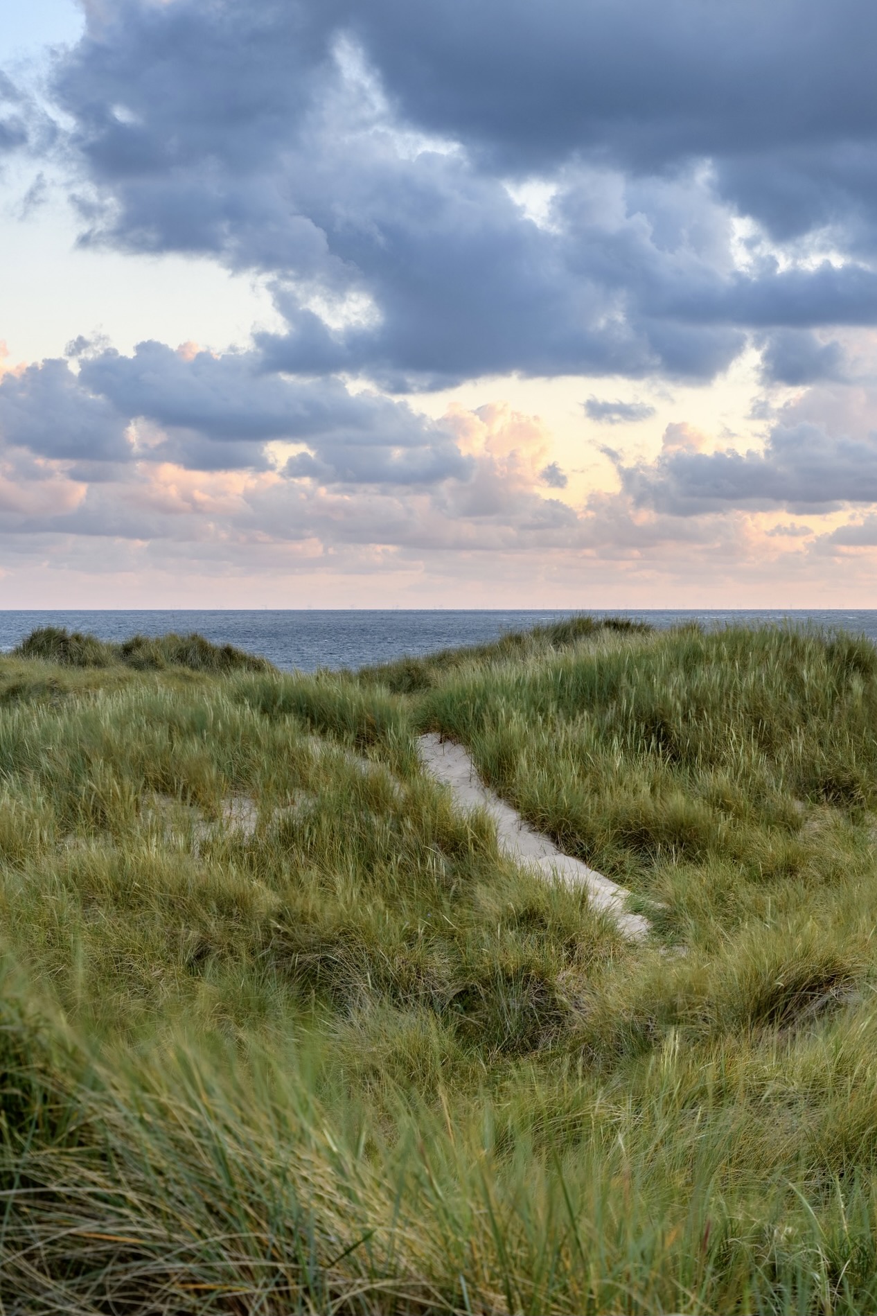 Eine Düne an der Nordsee auf Sylt