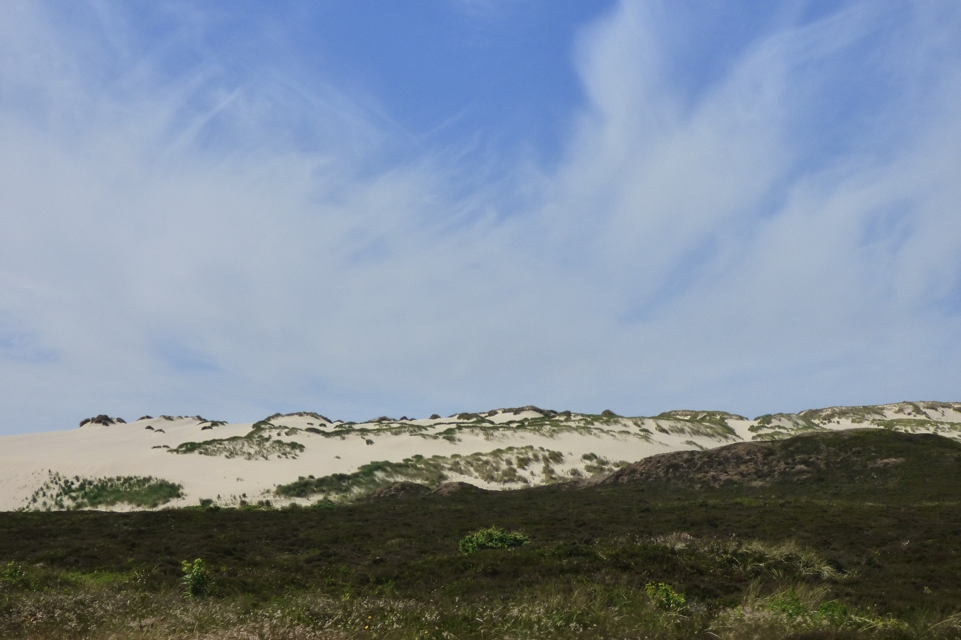 Die Wanderdüne in List auf Sylt ist die einzige in Deutschland