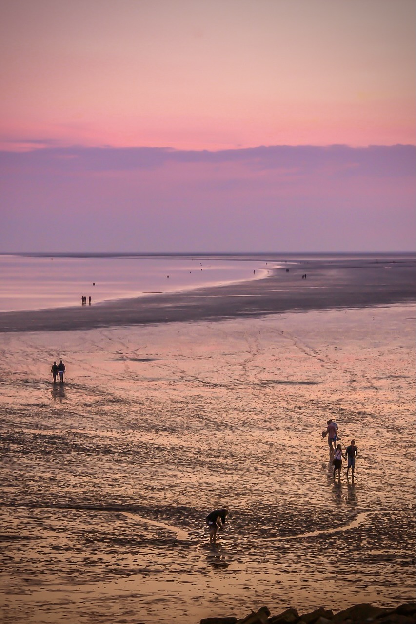 Wattwanderung im Wattenmeer bei Sonnenuntergang