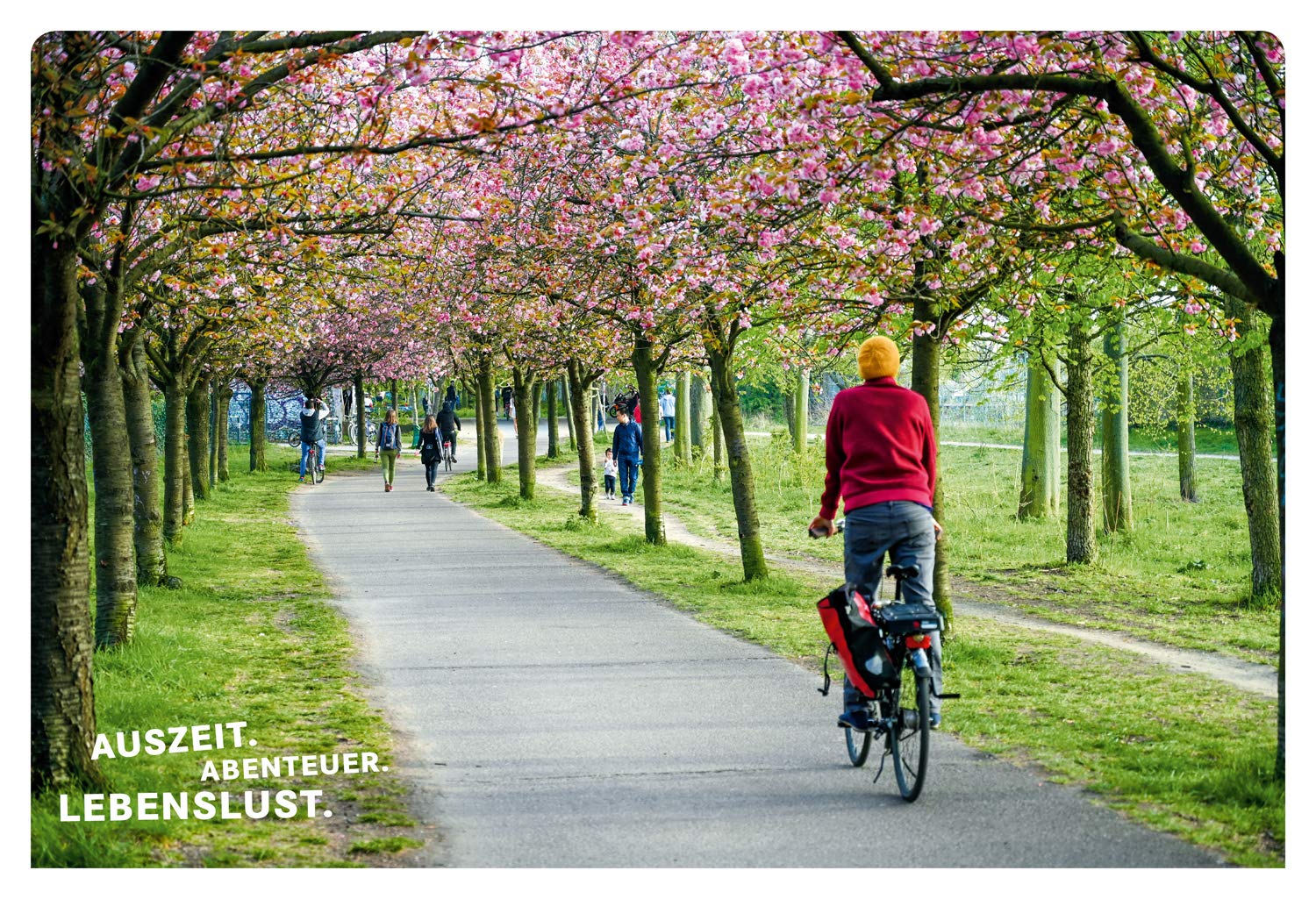 Kirschblüte in Berlin