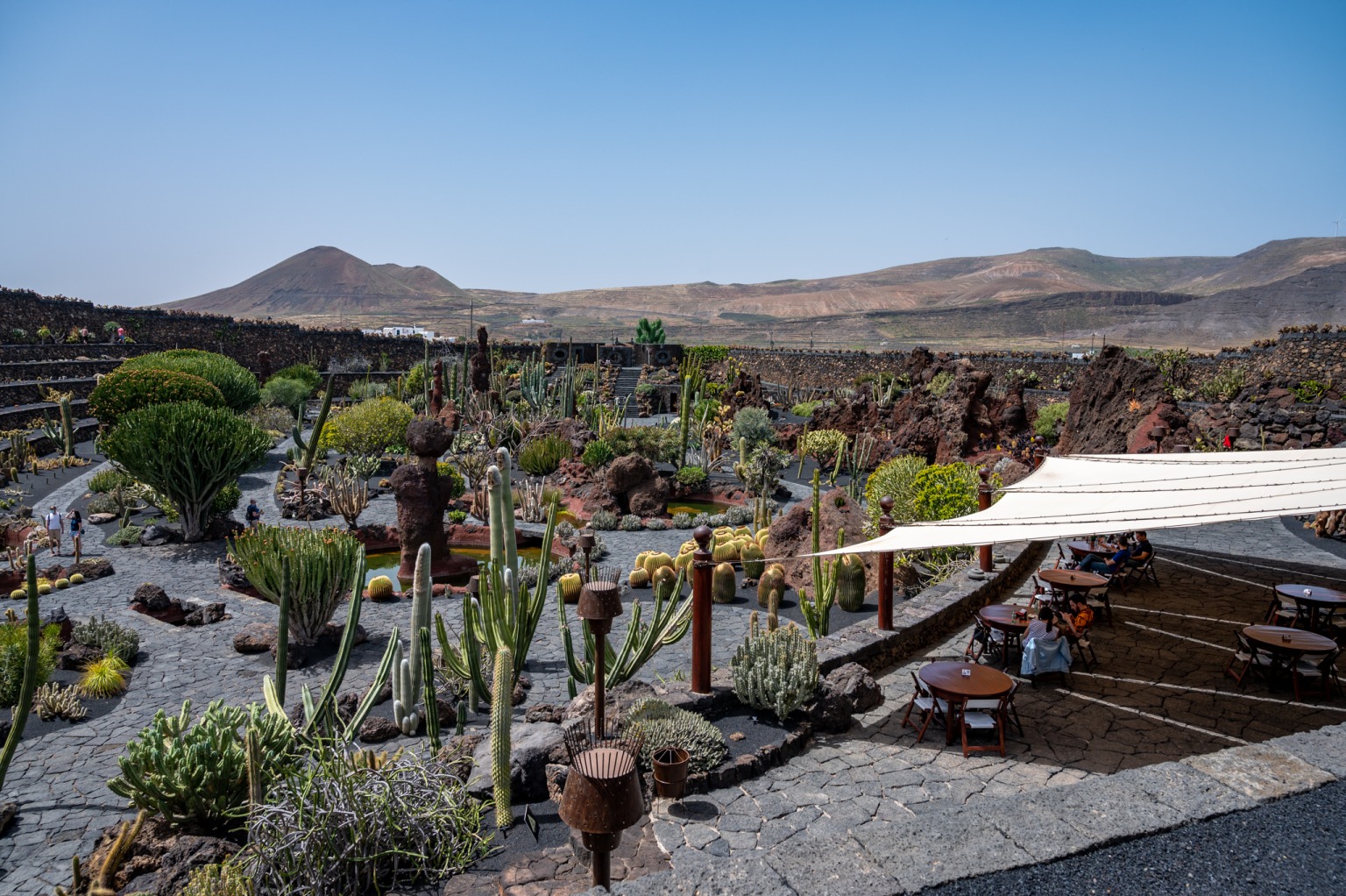Lais Puzzle 1000 Teile - Kaktusgarten Auf Lanzarote (Spanien) | Brillanter Druck & Stabil