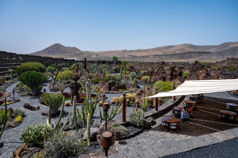 Herrlicher Blick auf den Jardin de Cactus auf Lanzarote