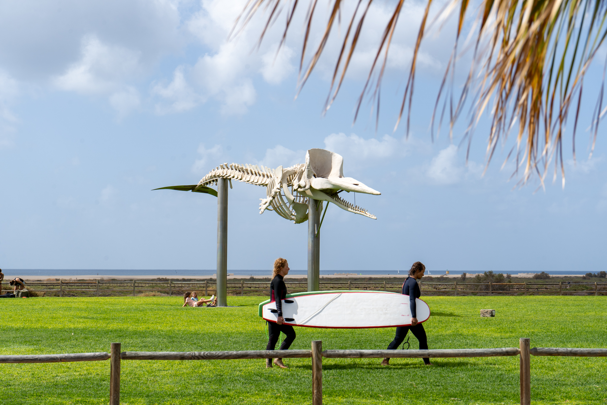 Das berühmte Walskelett am Playa de Jandia