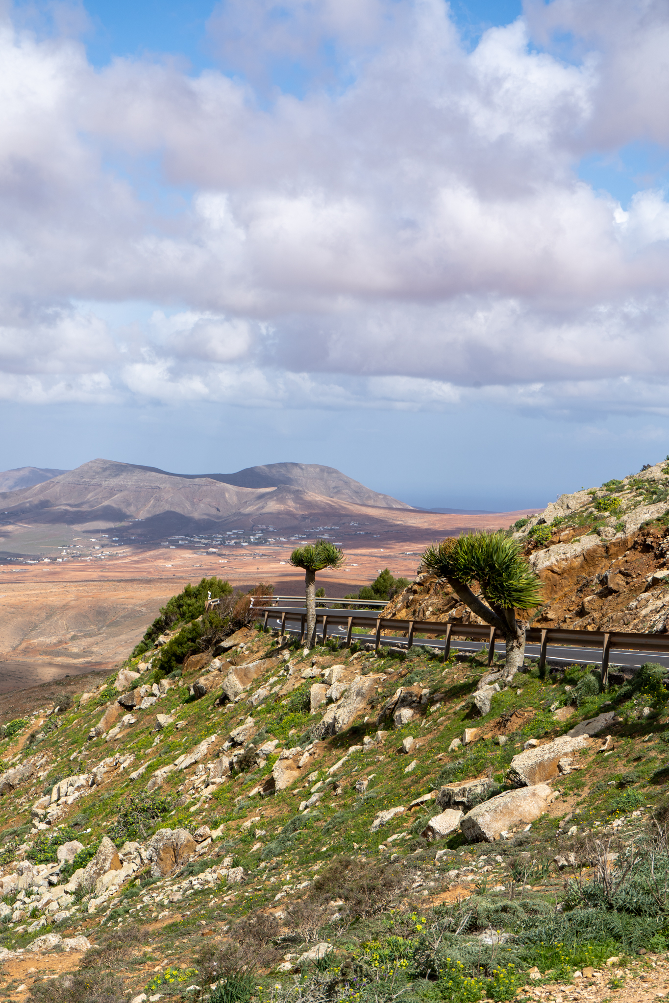 Geführte Touren auf Fuerteventura