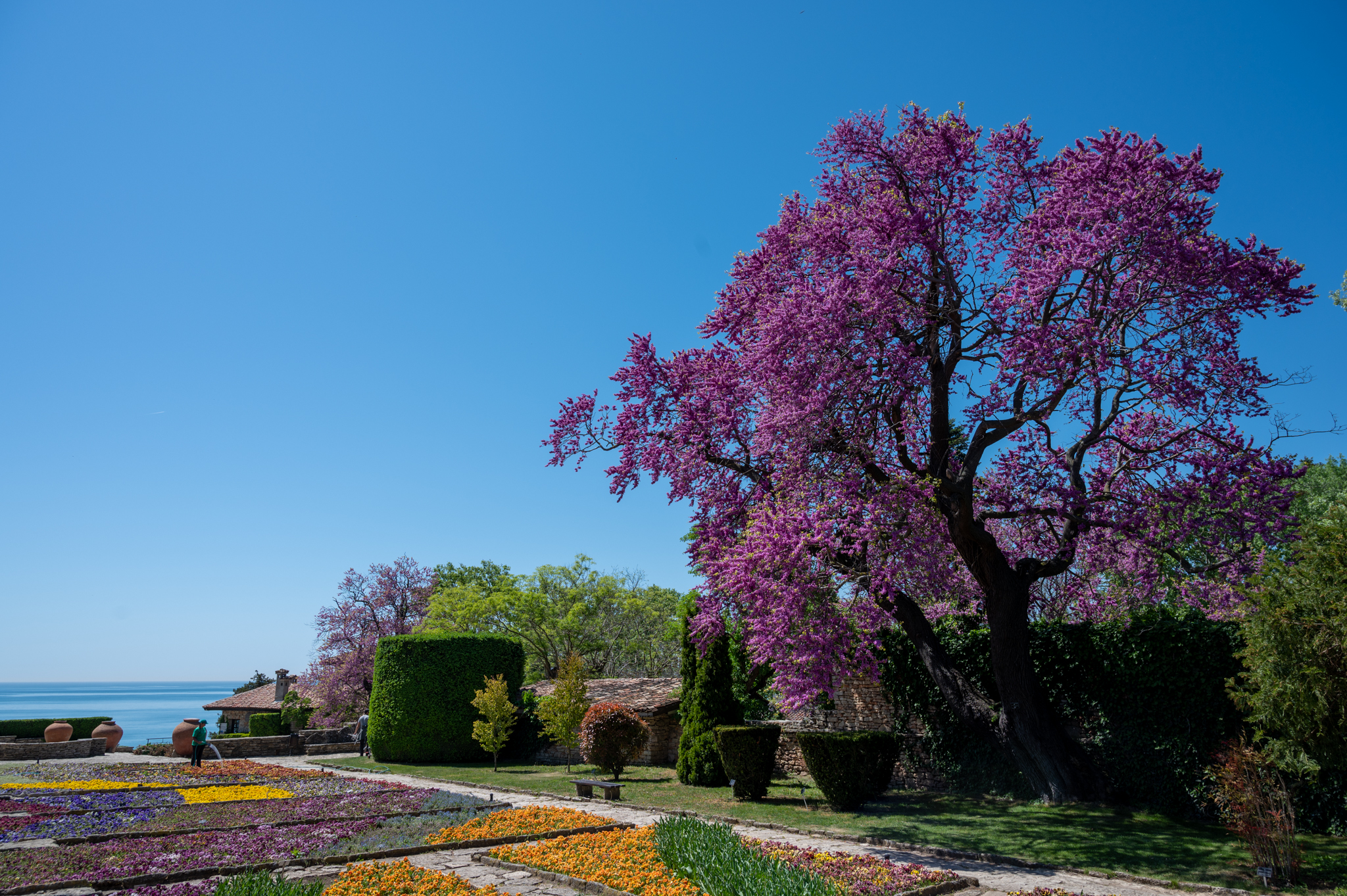 Botanischer Garten in Baltschik in Bulgarien