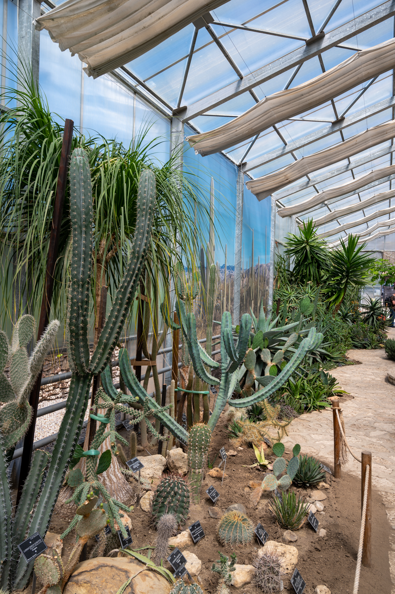 Botanischer Garten Baltschik